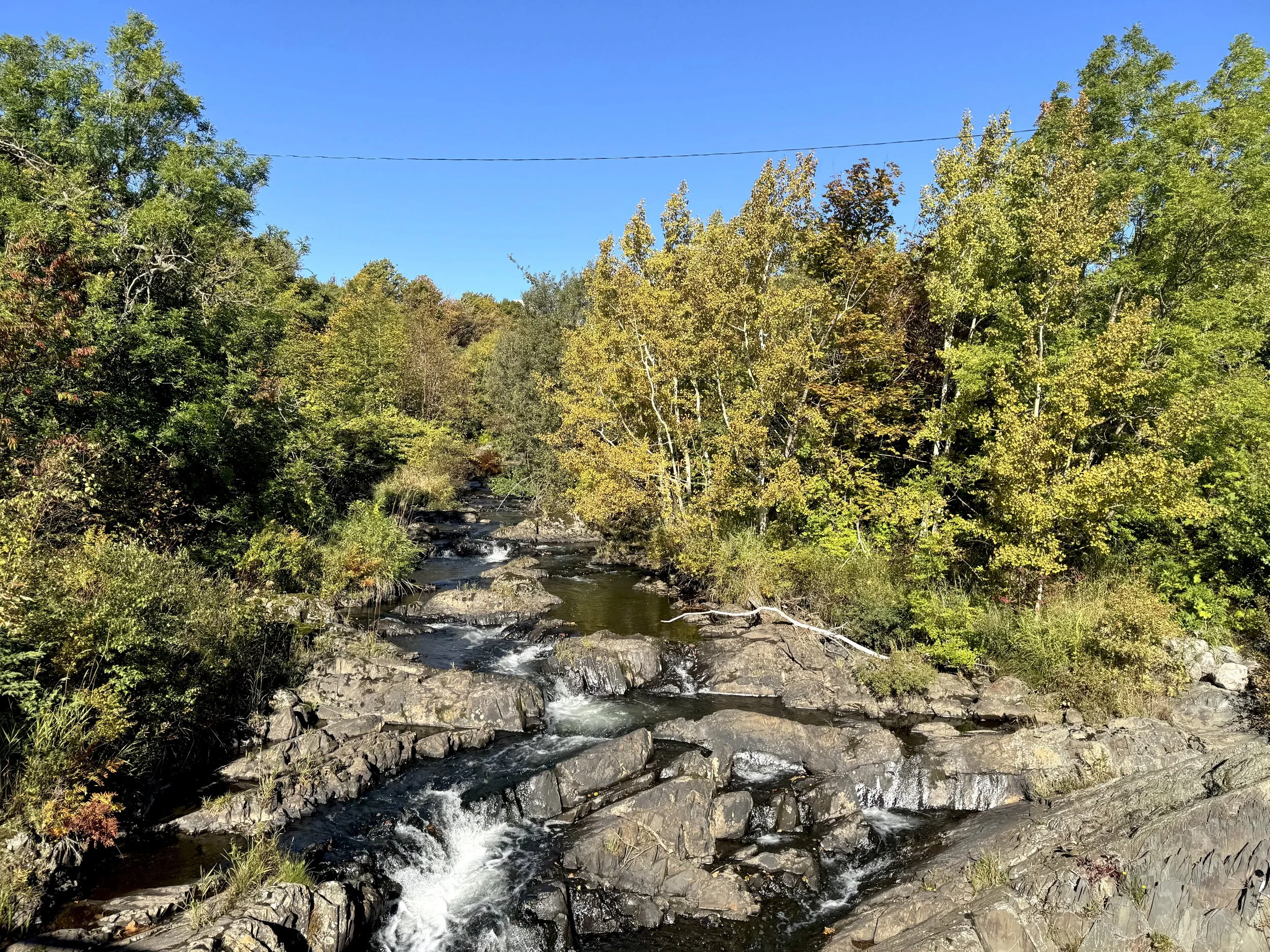 autumn on Rennie’s River, St. John’s