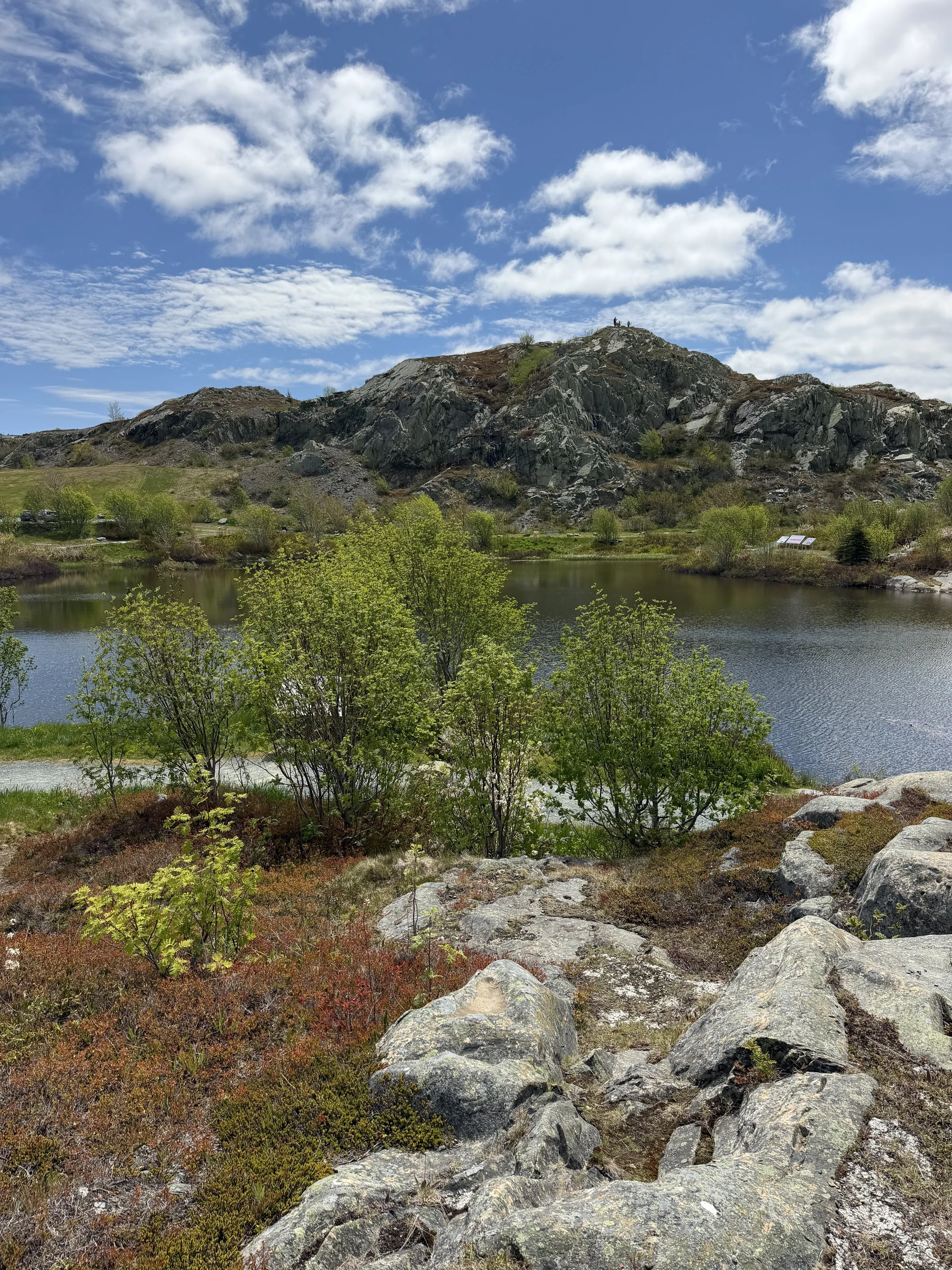 Deadman’s Pond and Gibbet Hill, St. John’s