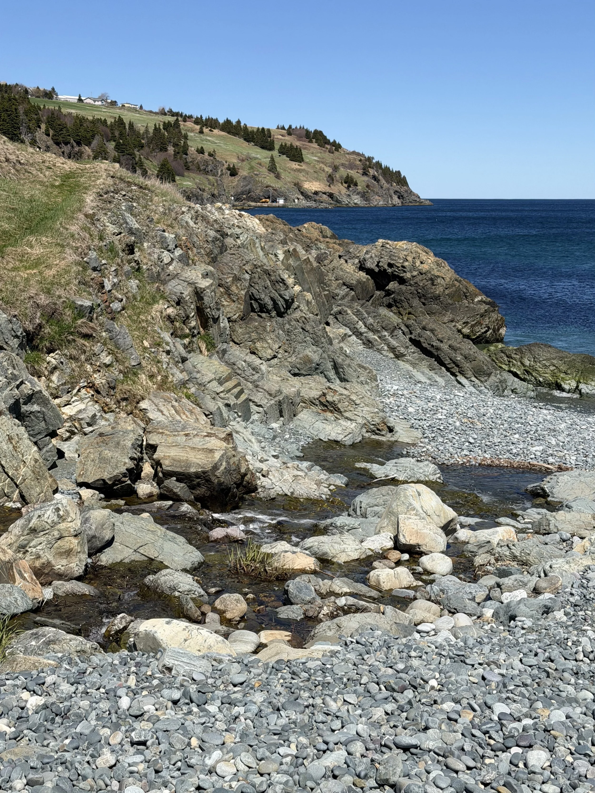 the seacoast at Torbay
