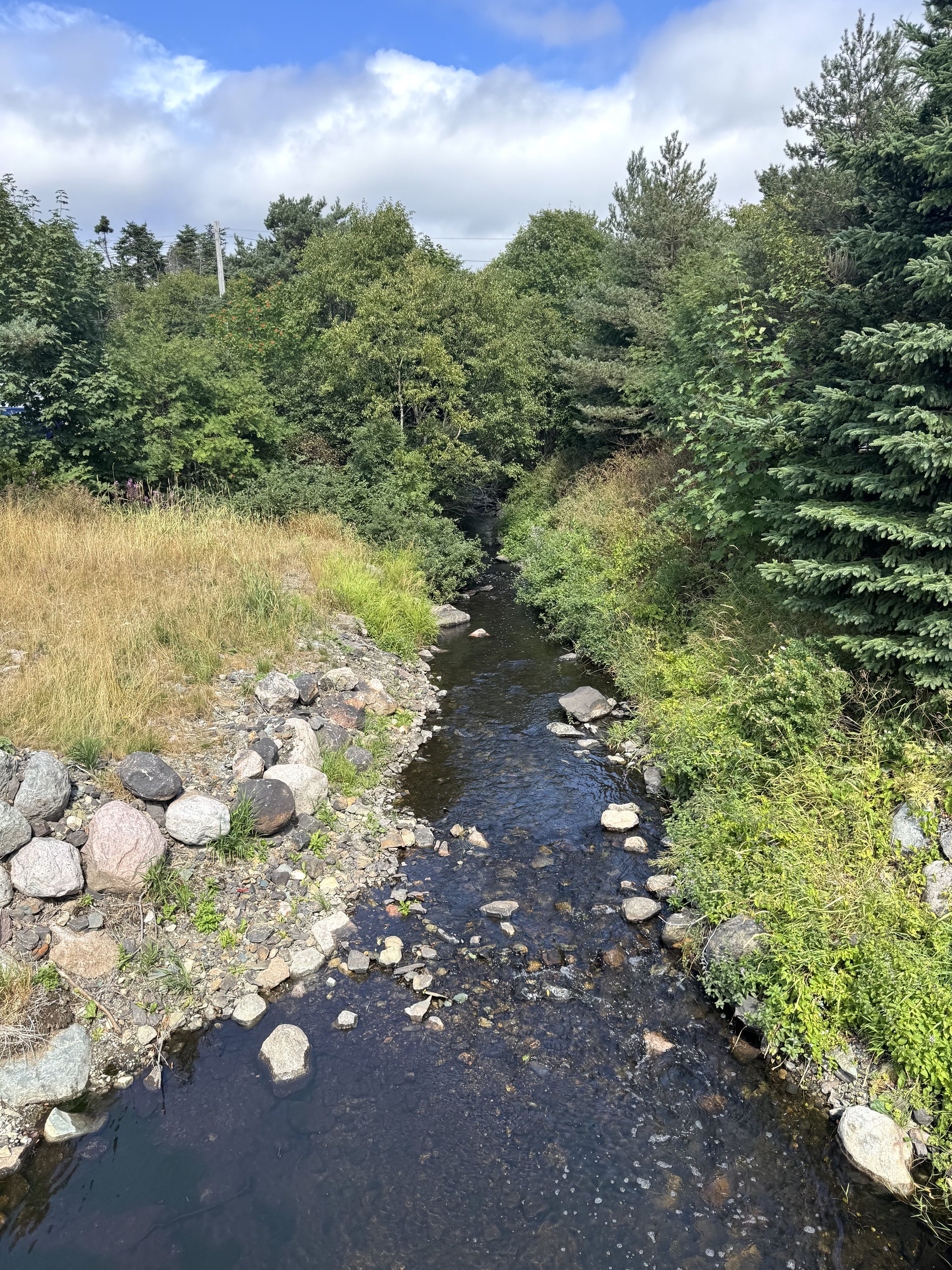 Virginia River, St. John’s