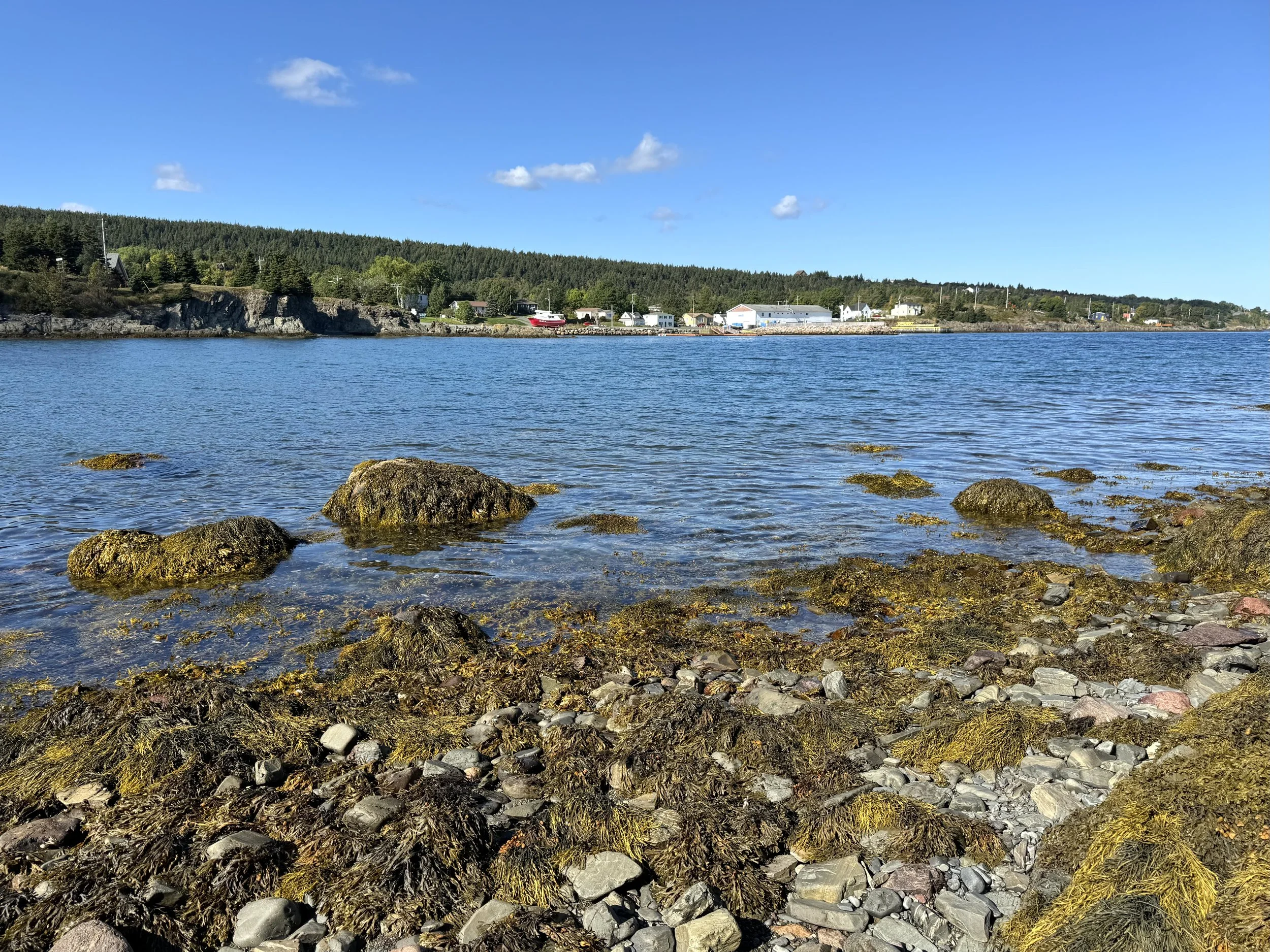 the seacoast at Harbour Main