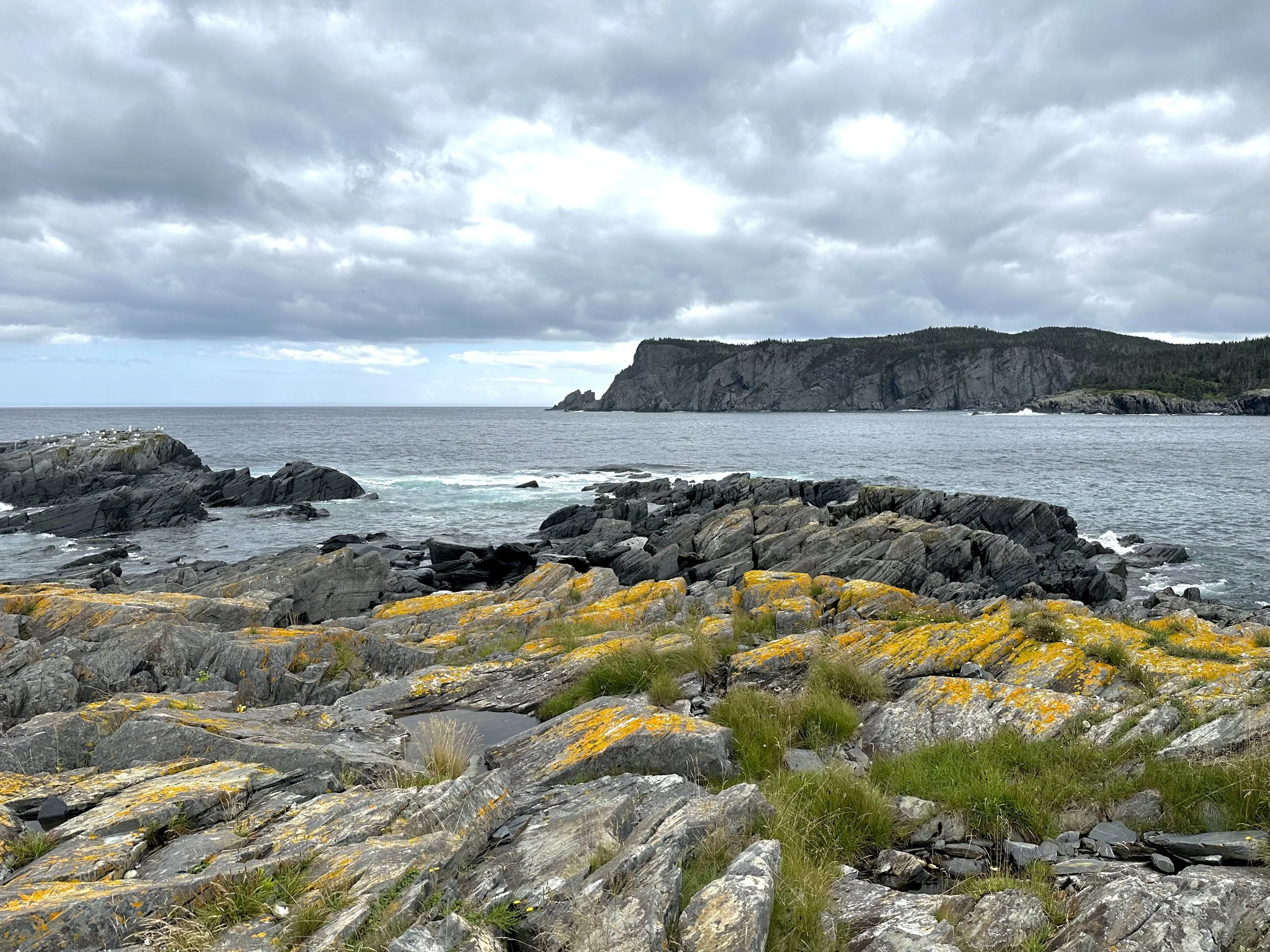 the seacoast at Brigus South