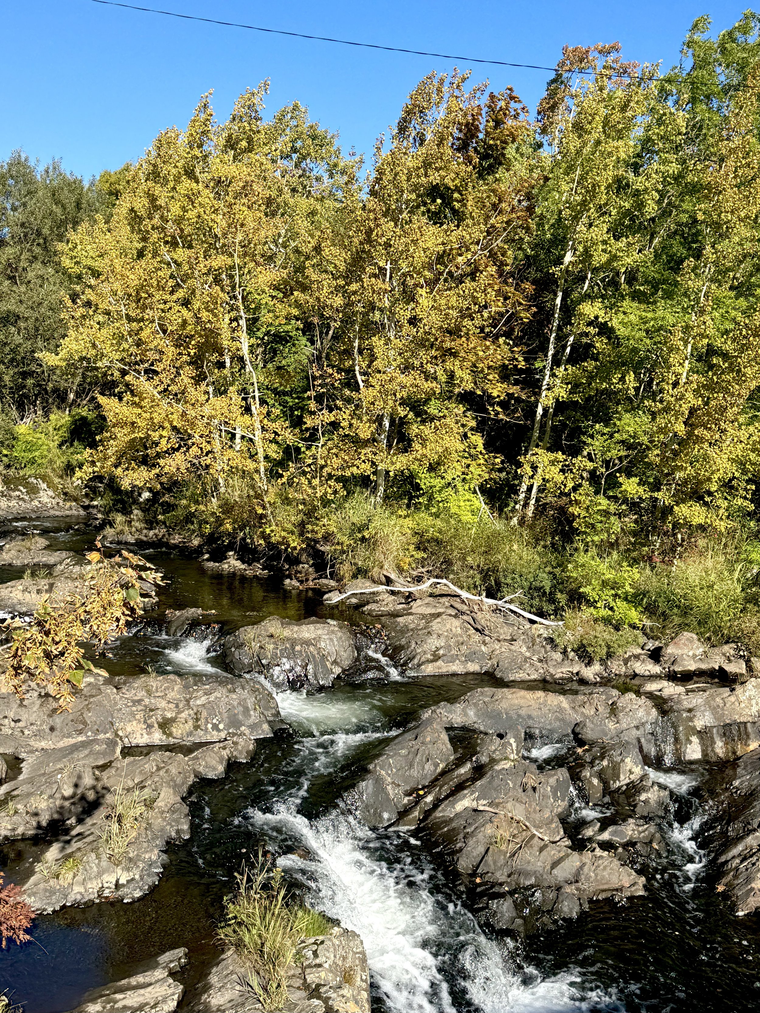 autumn on Rennie’s River, St. John’s