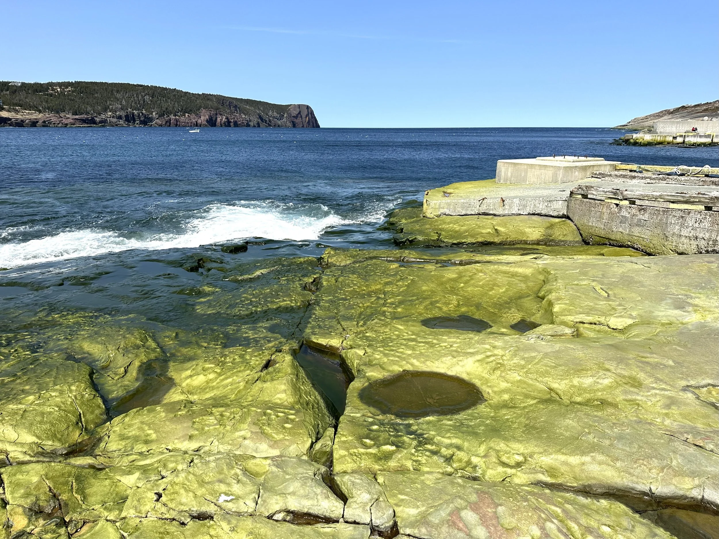 the seacoast at Flatrock
