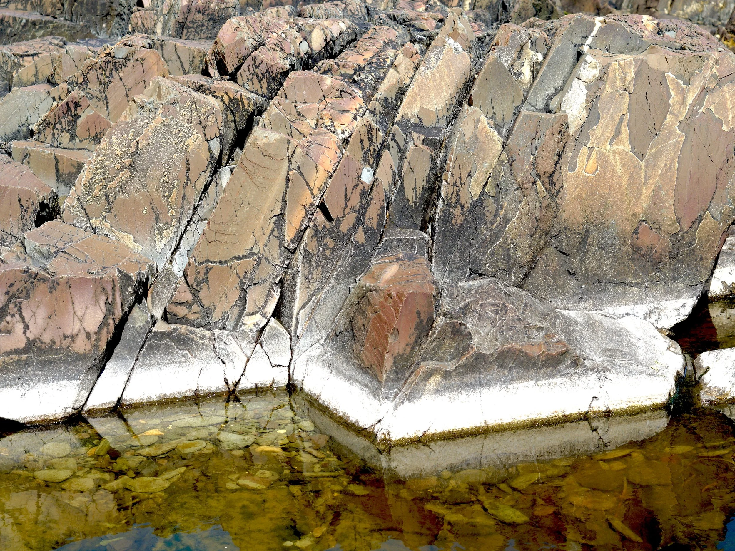 a tidal pool near Torbay