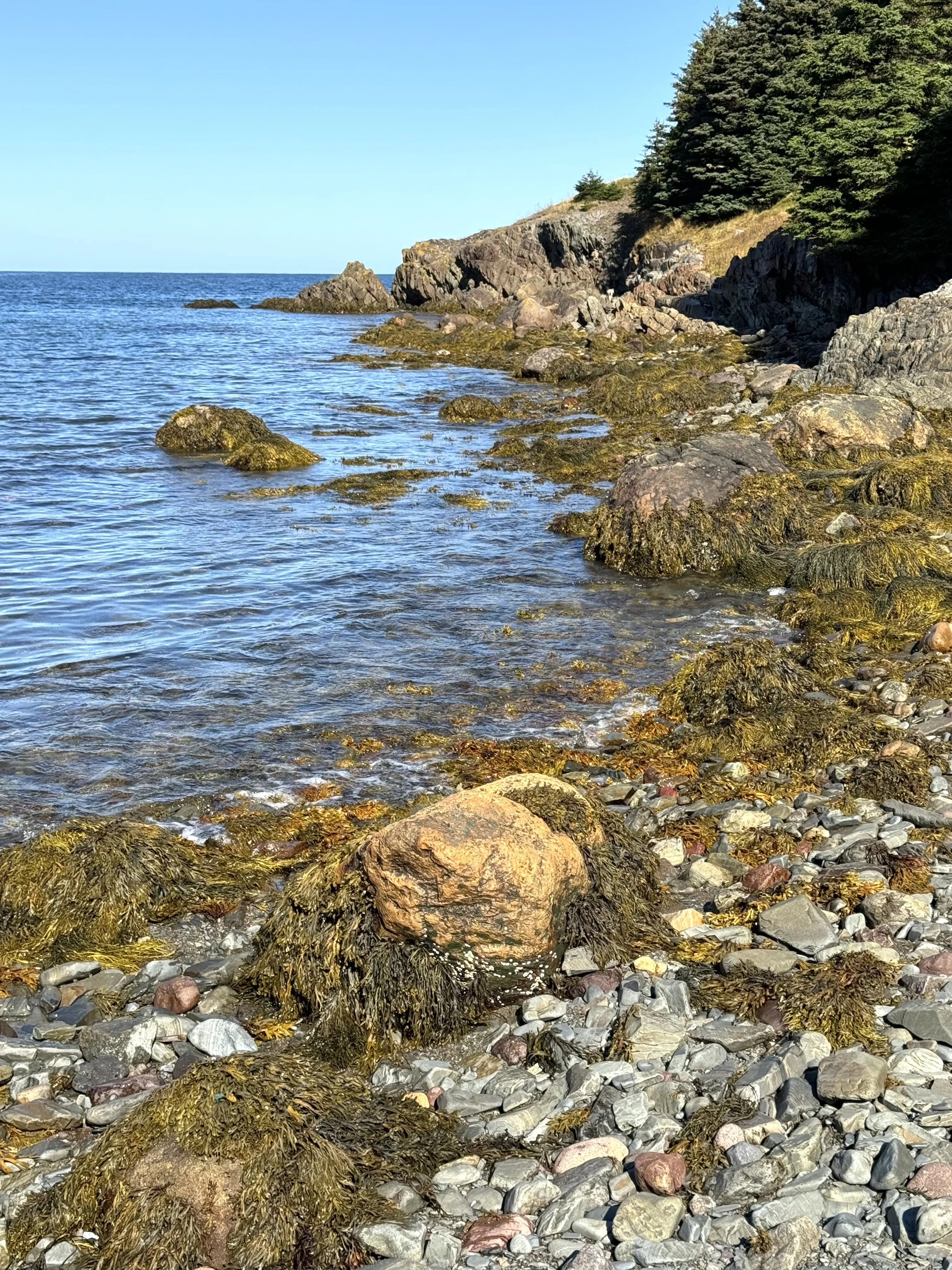 the seacoast at Harbour Main