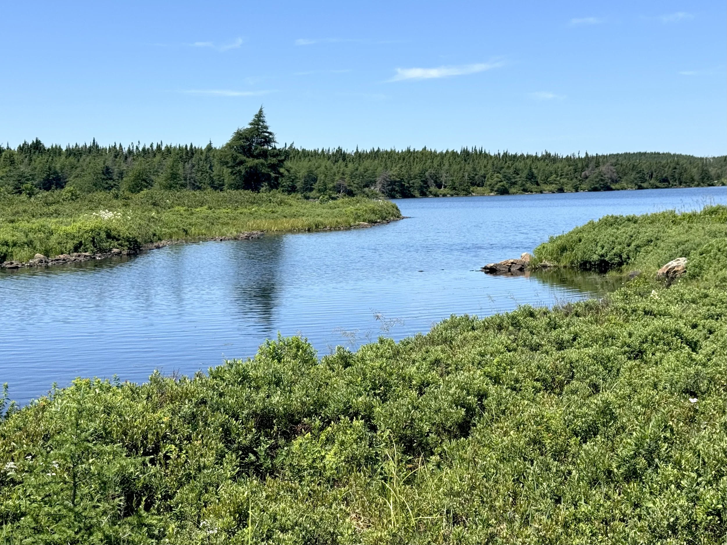 Long Pond trail, Bay Bulls