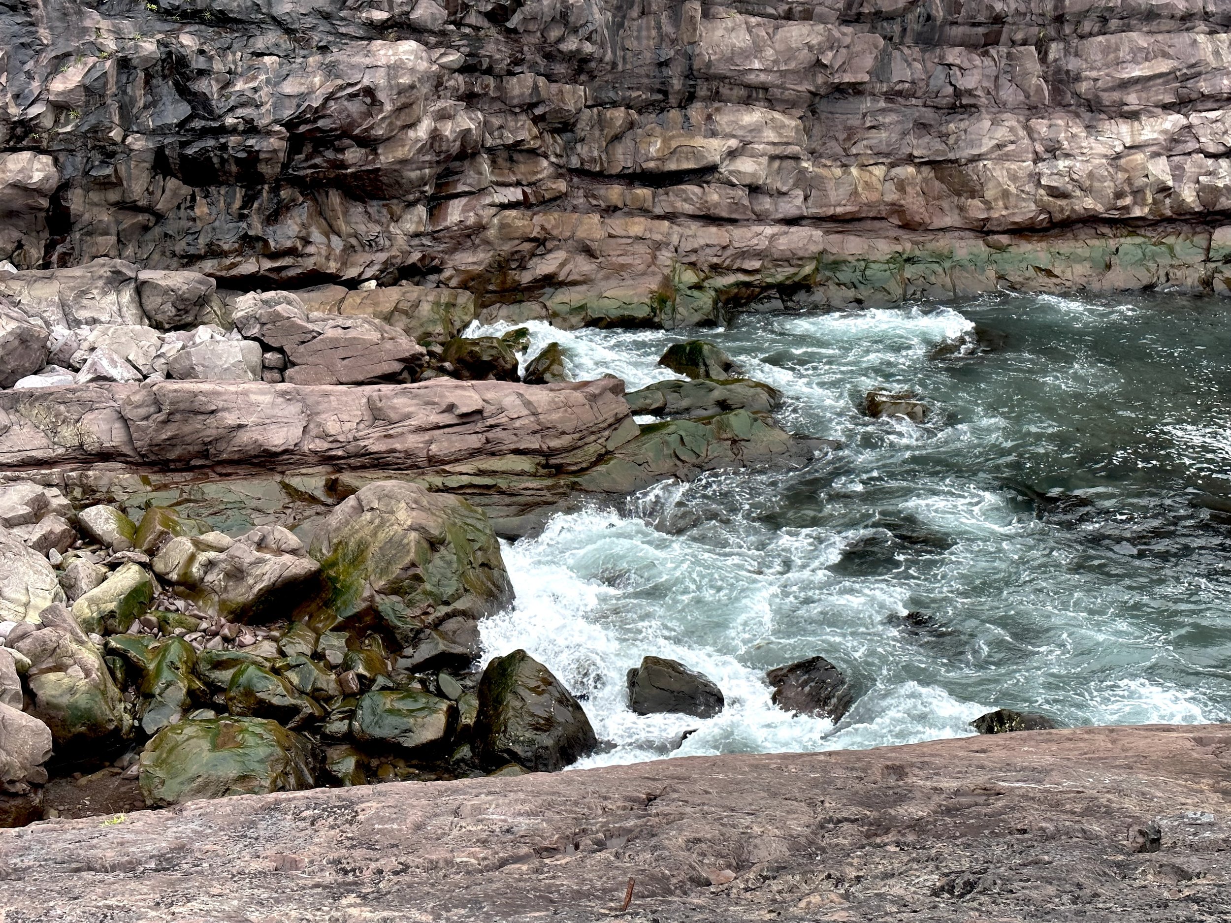 the seacoast at Cape Spear