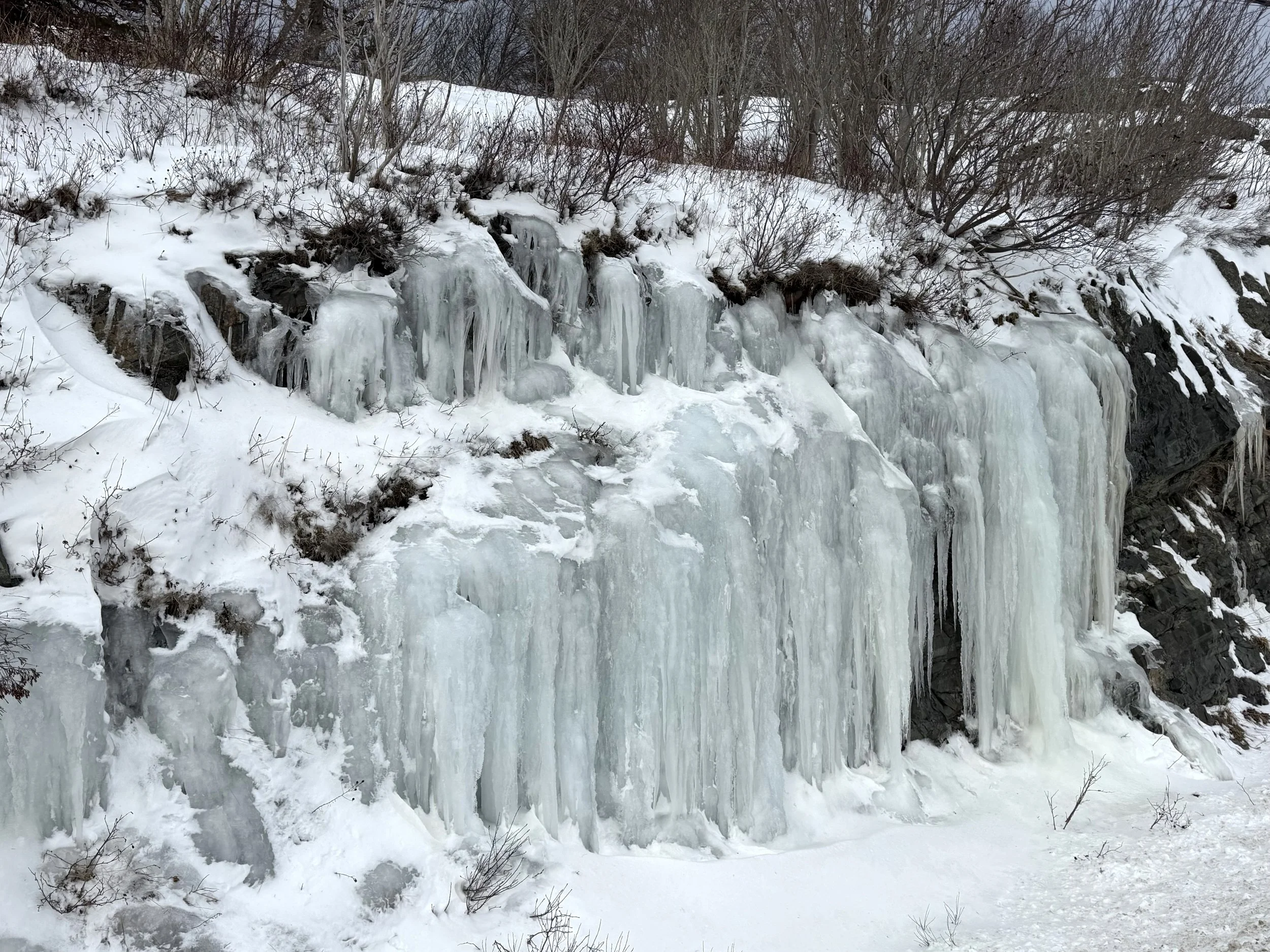 icicles, Torbay