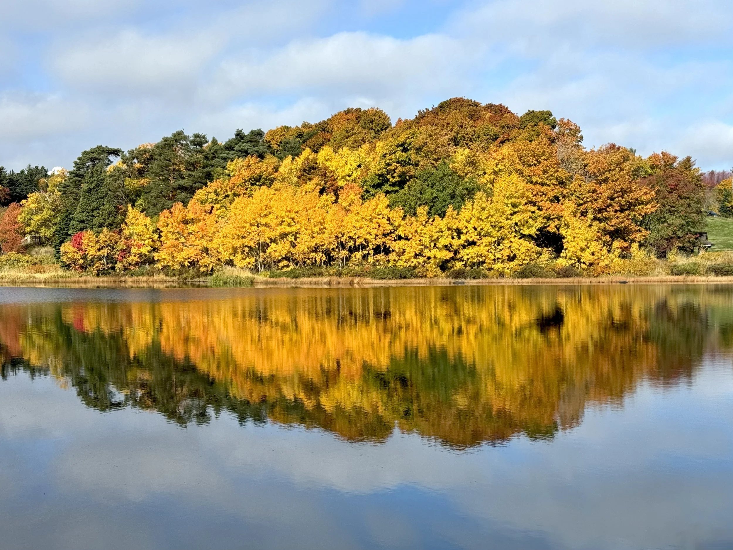 October reflections, Long Pond, St. John’s
