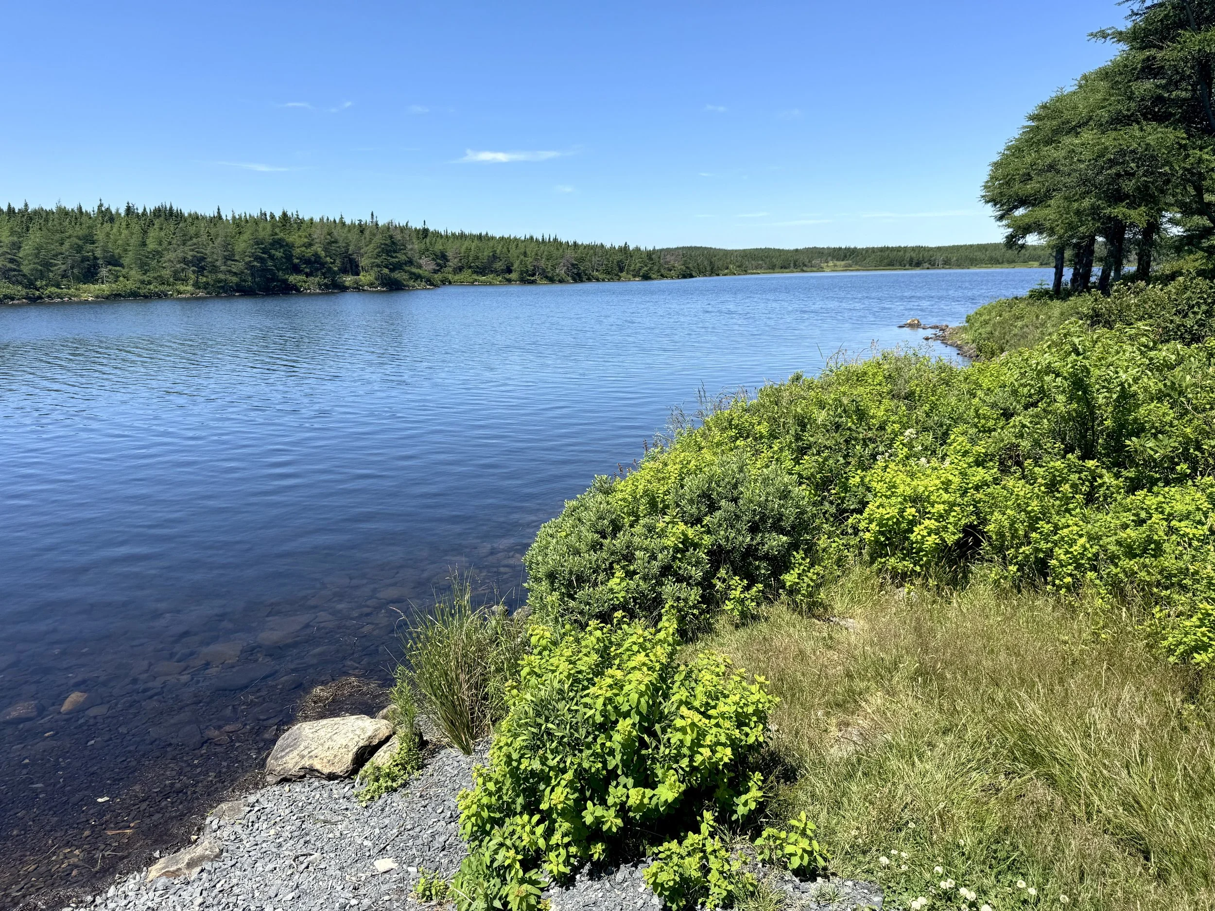 Long Pond trail, Bay Bulls