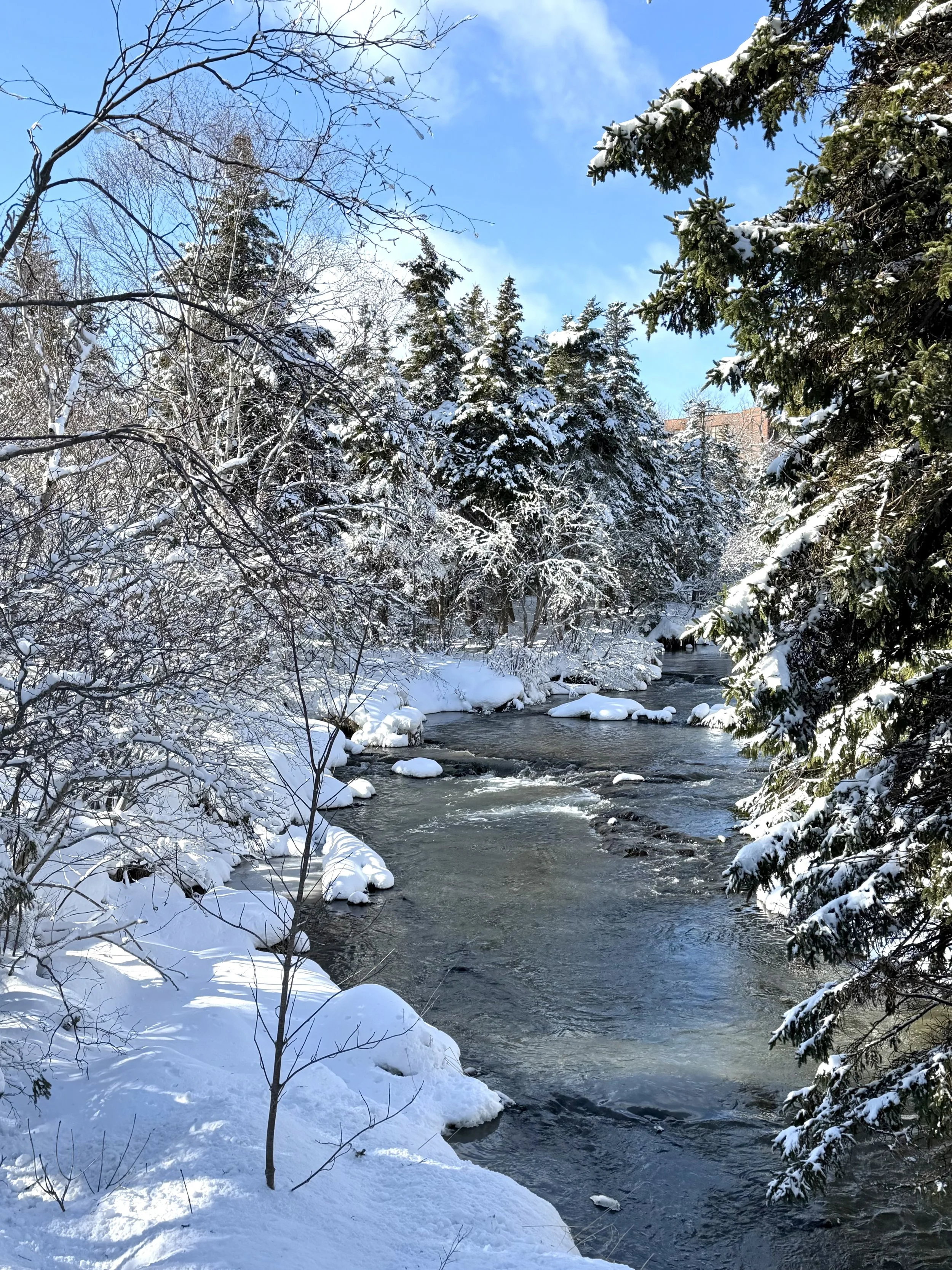 February, Bowring Park, St. John’s