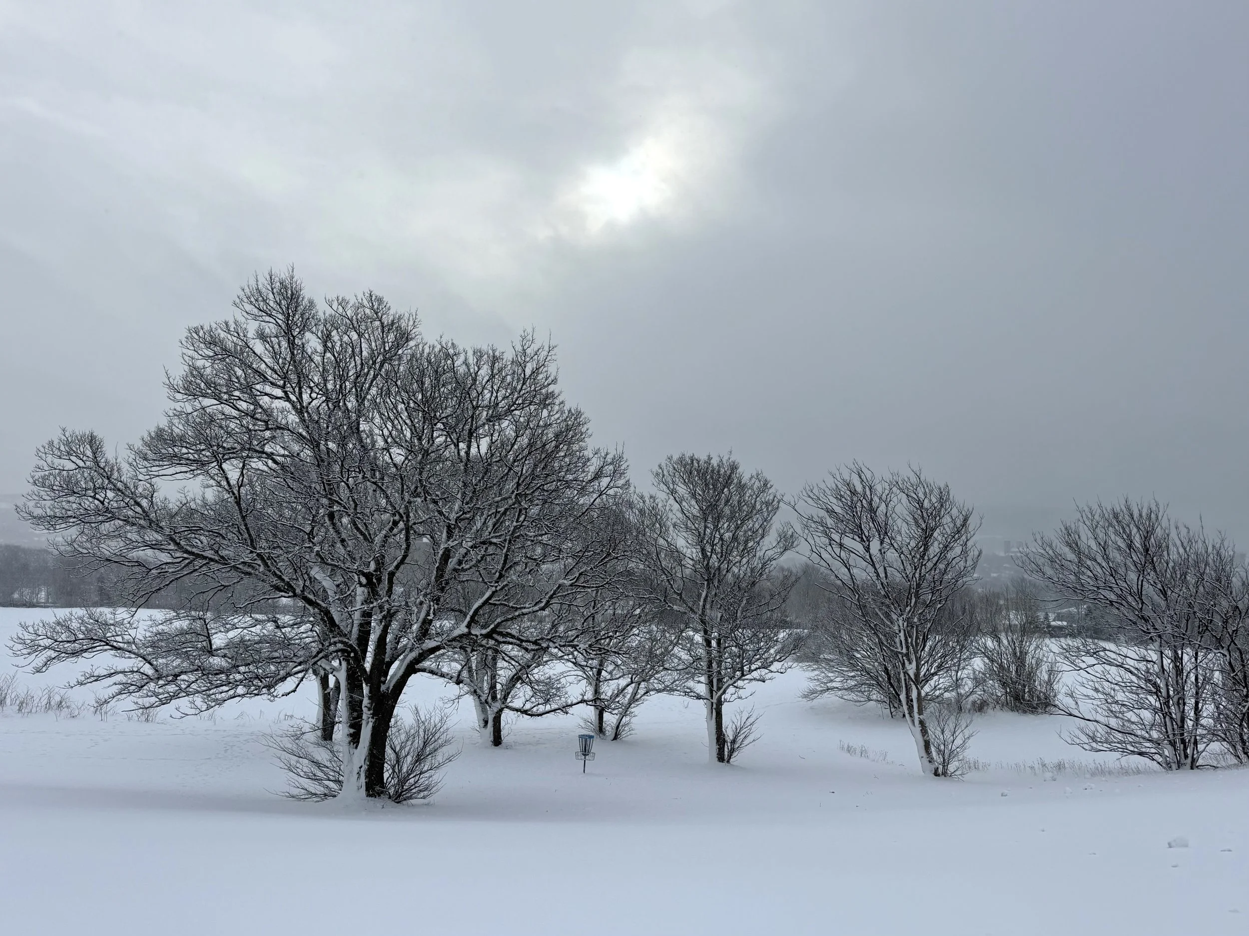 a February morning, Confederation Hill, St. John’s