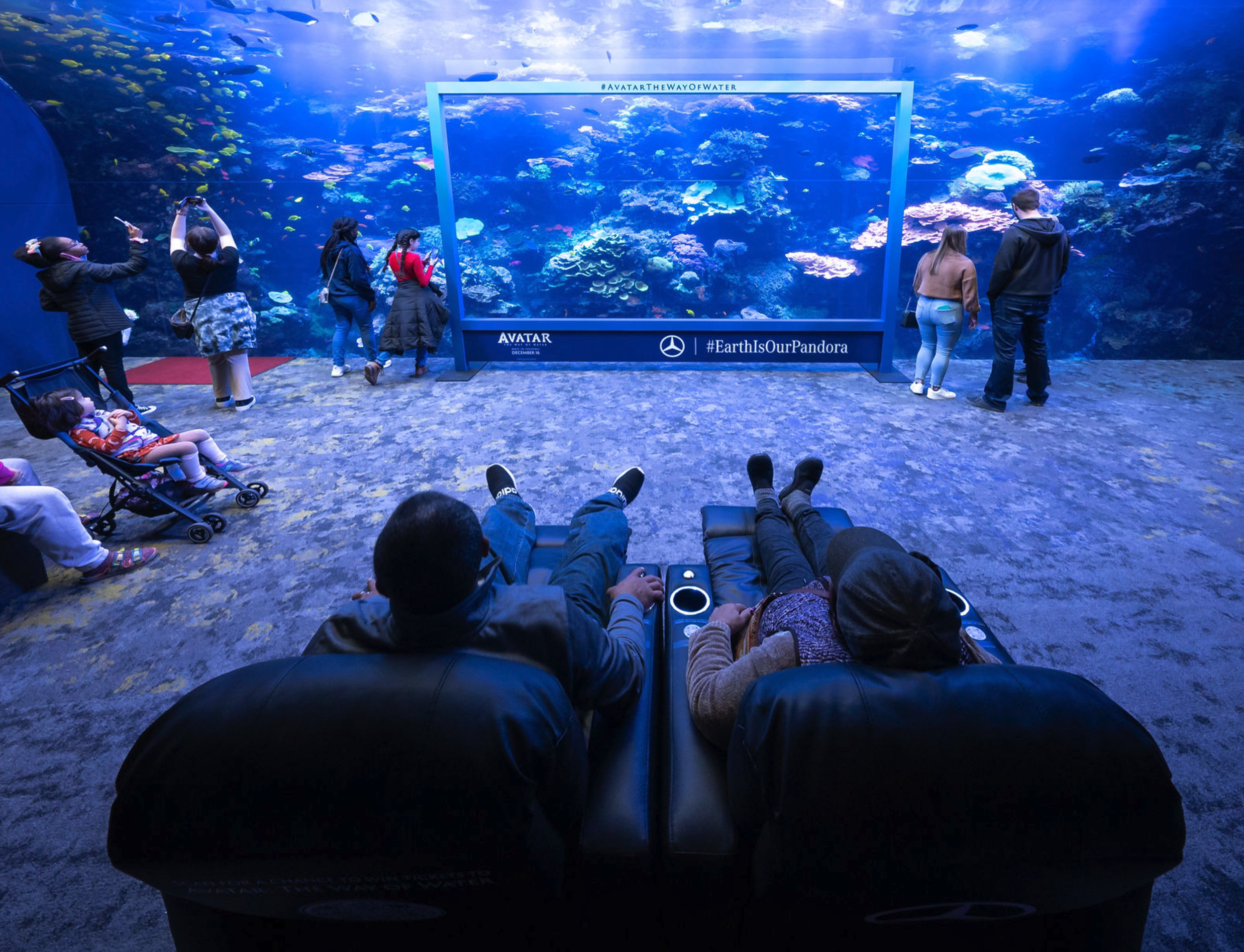 Screen Shot 2023-03-13 at 4.48.48 PM.png