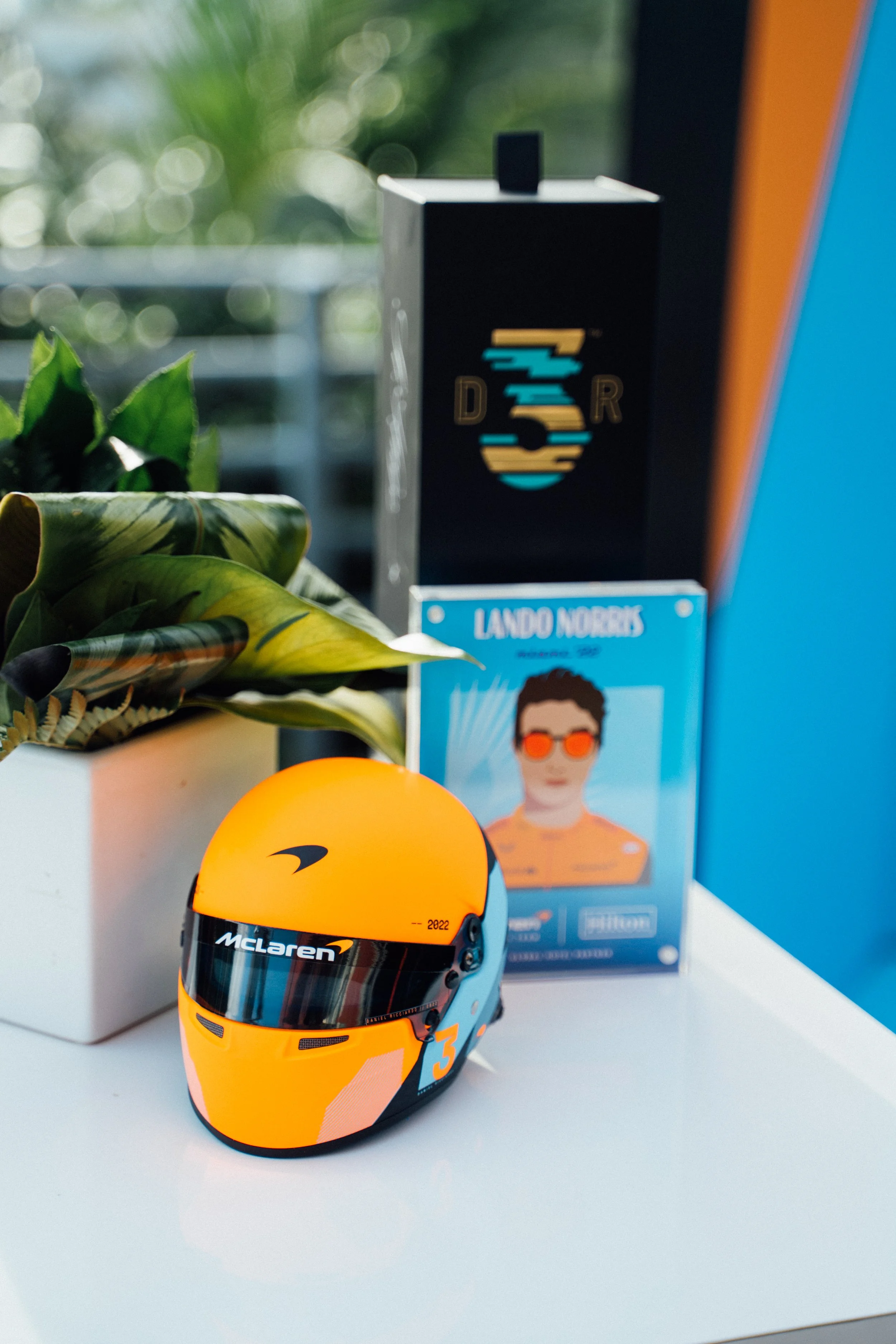 DSC03479.jpg