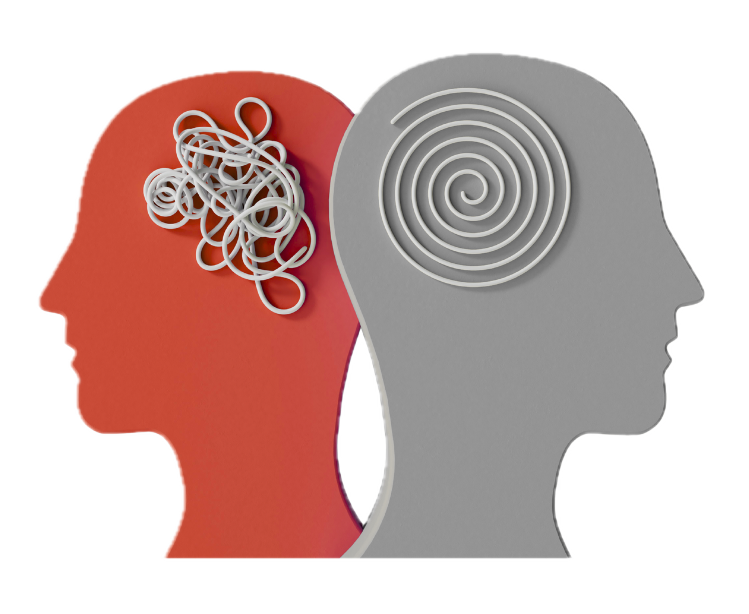 Intellectual functioning evaluation in New York City