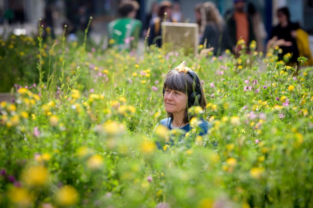 BROADMEADOW_MAYFEST 2024_PB PREVIEWS-4.jpeg