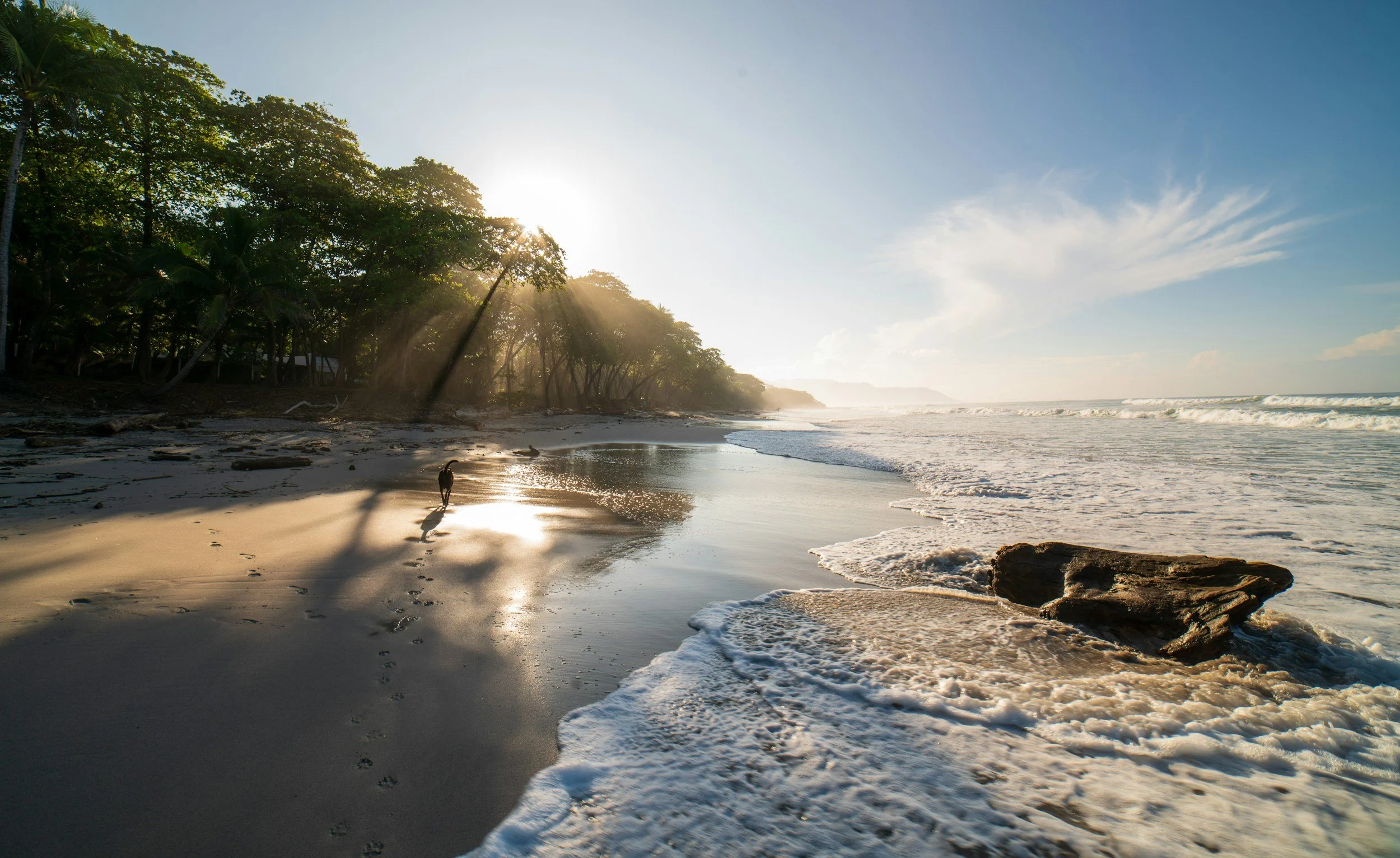 Sunrise over a tropical beach with trees, ocean waves, and rocks in the sand.