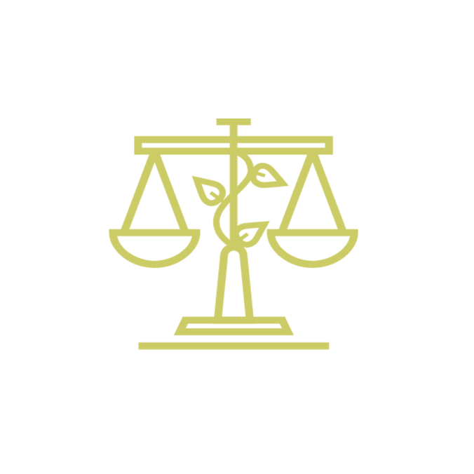 ReBalancing-sumctr .png