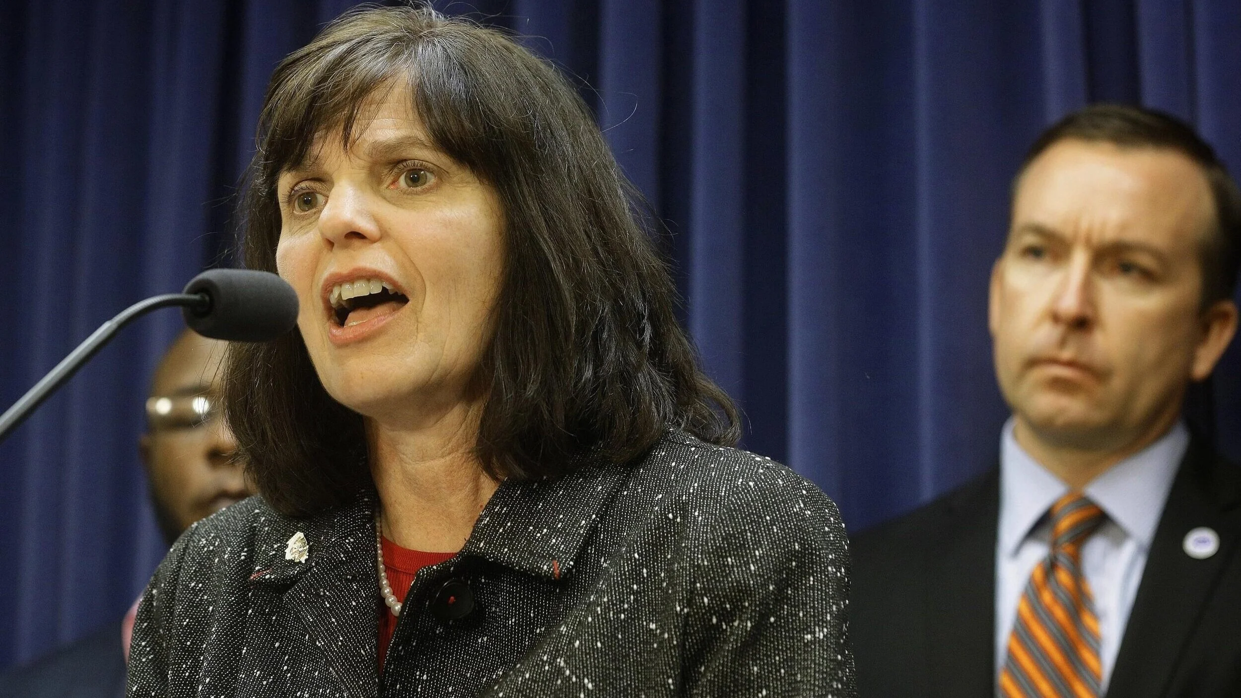 State Rep. Sue Scherer (D-Decatur) tells The Illinoize she will not seek an appointment to the Senate seat vacated over the weekend by Sen. Andy Manar (D-Bunker HIll). Manar, who is behind Scherer in this 2016 photo, resigned to take a job with the …