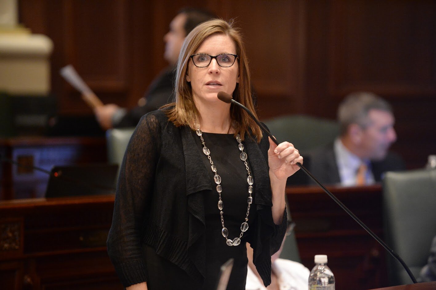BREAKING: Rep. Ann Williams running for Speaker