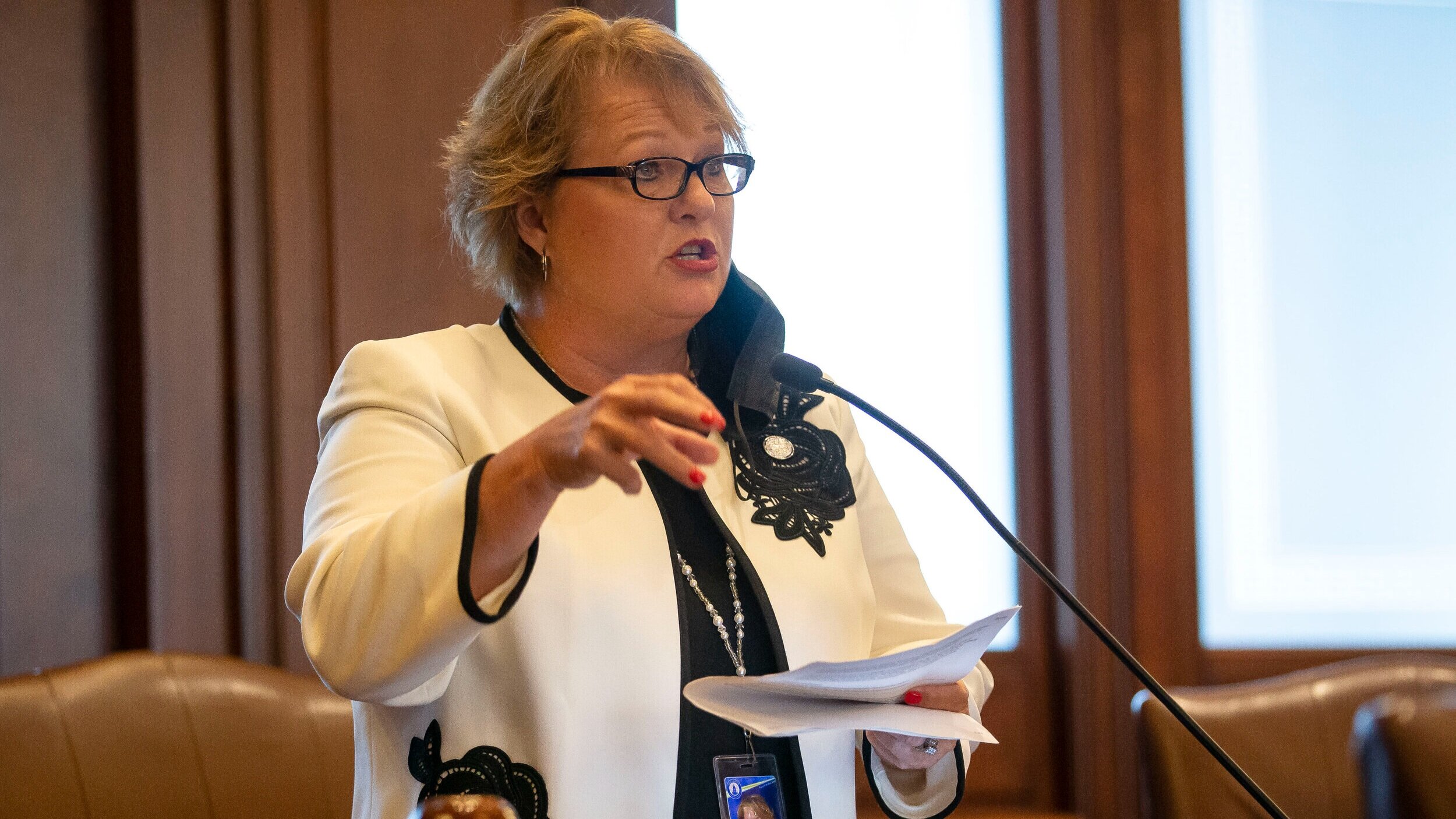 The Dumb BGA/Sun-Times Attack on Sen. Terri Bryant