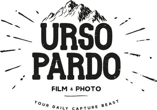 Urso Pardo