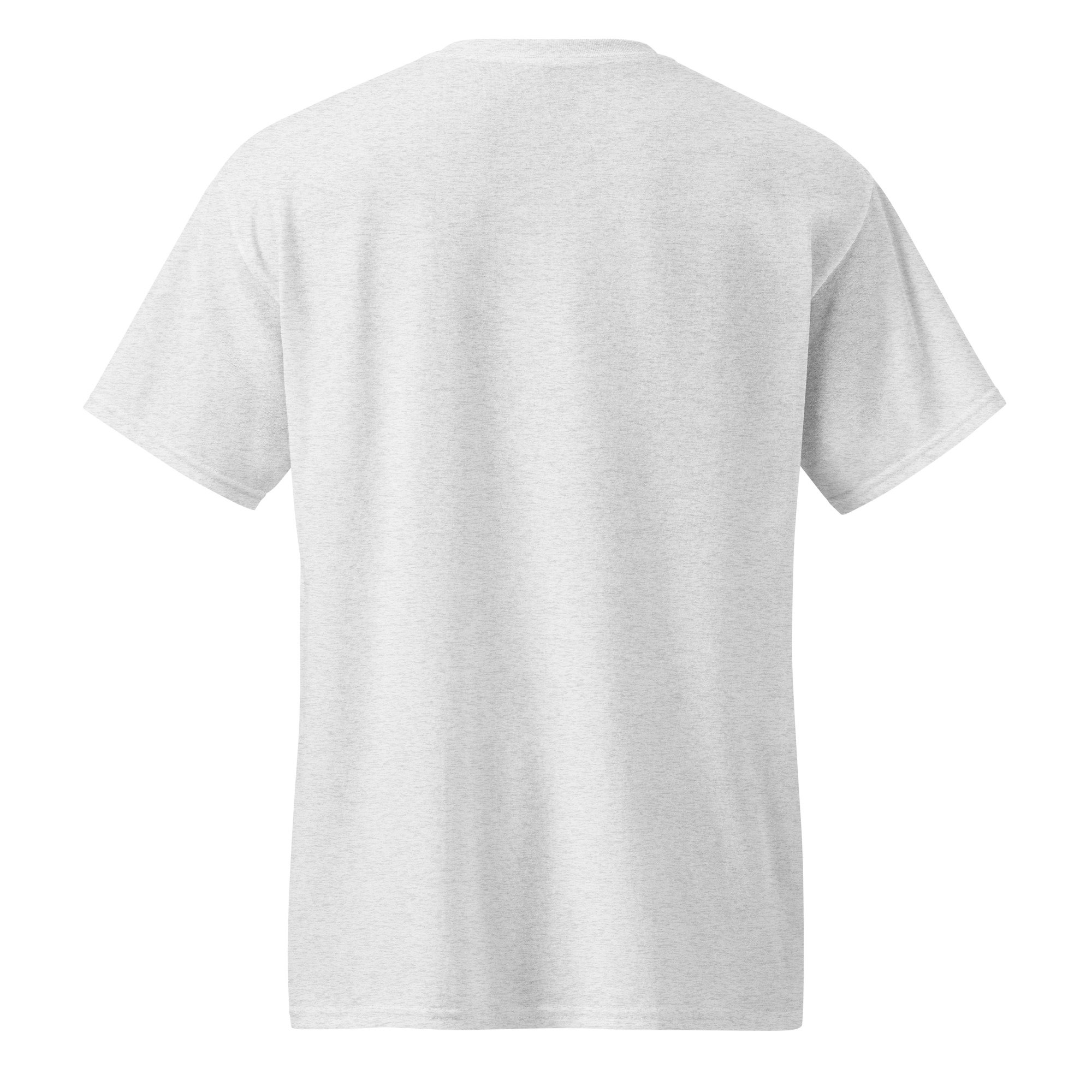 unisex-sports-tee-ash-back-68790af03f119.jpg