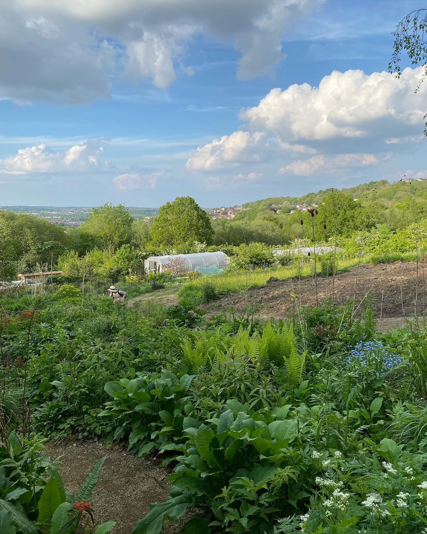 Yesterday&rsquo;s sunny evening was perfect for another @fobsheffield outing - this time to @arcadia_landscape_design in the Rivelin Valley.

Here we met Doug and Charlotte who gave us an introduction to their experimental garden and nursery on the o