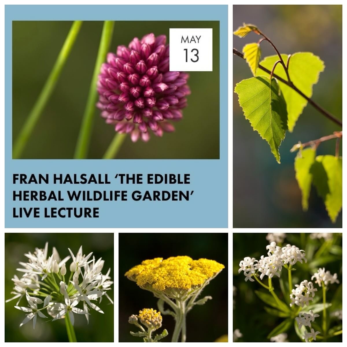 For our @fobsheffield talk on Monday 13 May we welcome Fran Halsall, landscape photographer, writer and currently Garden Services Manager at @regathercooperative advising on and designing private gardens and community greenspaces. 

Fran will talk ab