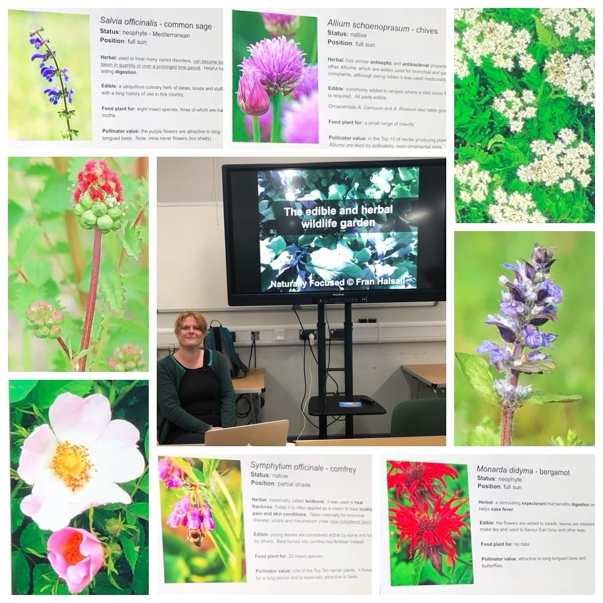We spent a very enjoyable Monday evening at #sheffieldbotanicalgardens in the company of Fran Halsall who shared her huge knowledge of edible herbal plants that we can grow (or may already grow) in our gardens.

Fran is a very enthusiastic and knowle