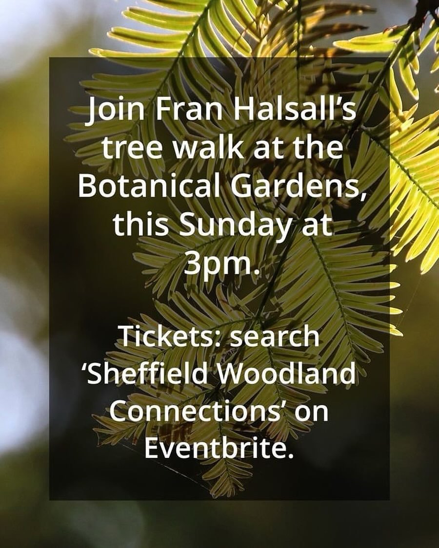 Don&rsquo;t miss Fran Halsall&rsquo;s Tree Walk on Sunday 19 May in #sheffieldbotanicalgardens 

Starting at 3 pm the main themes for this walk will be the evolution of trees, meeting &lsquo;living fossils&rsquo; plus exploring key identification cha