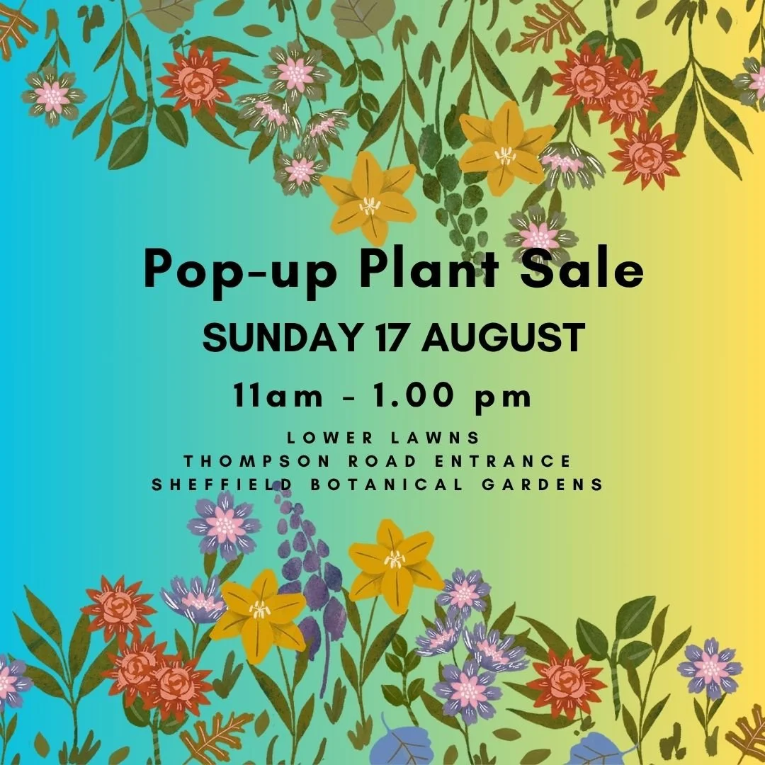 Pop-up plant sale