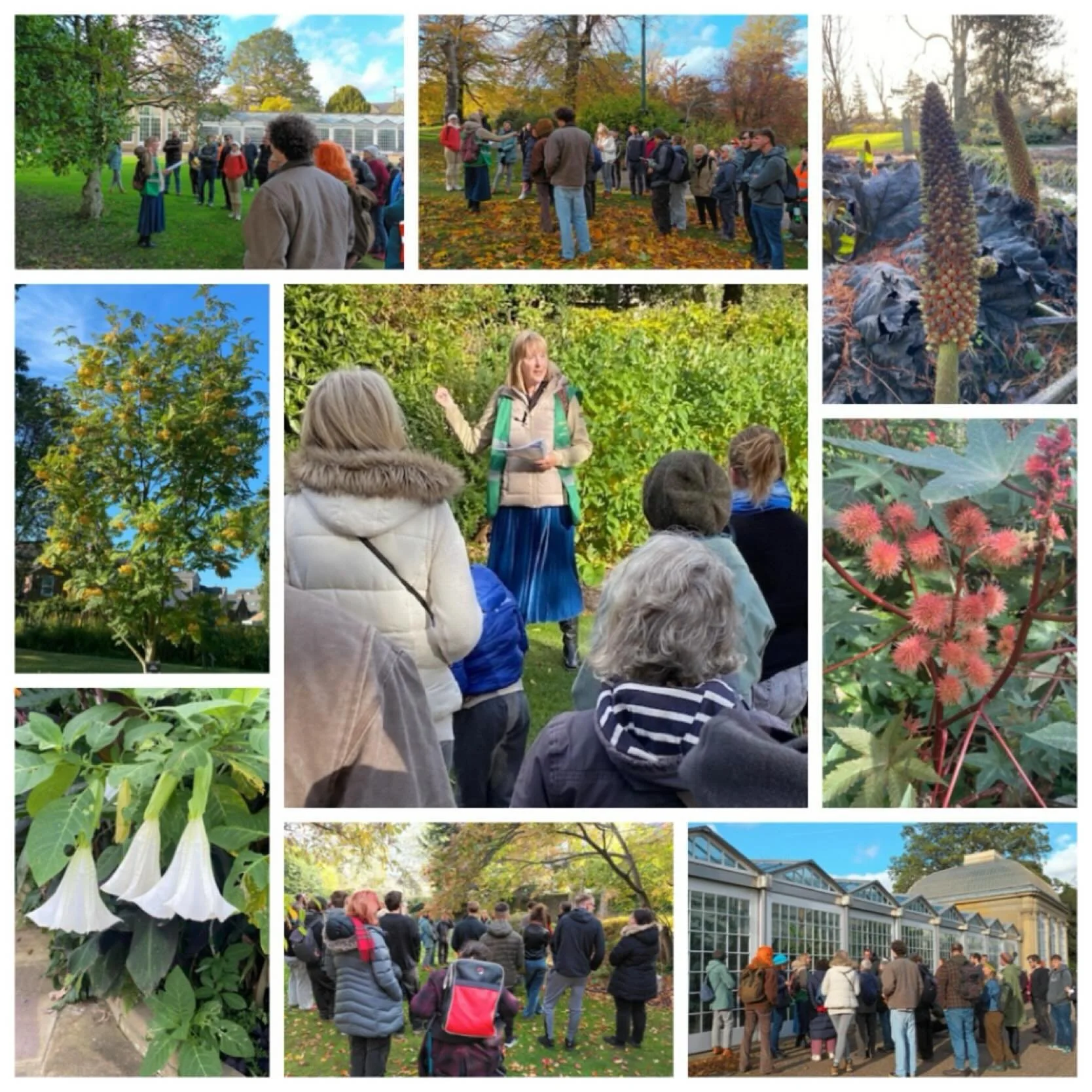 The sunshine and the promise of some Halloween magic brought an excellent turnout of 30 visitors to #sheffieldbotanicalgardens for our ‘Hubble, Bubble, Toil and Trouble’ Public Tour on Tuesday.
The tour explored a number of magical and p