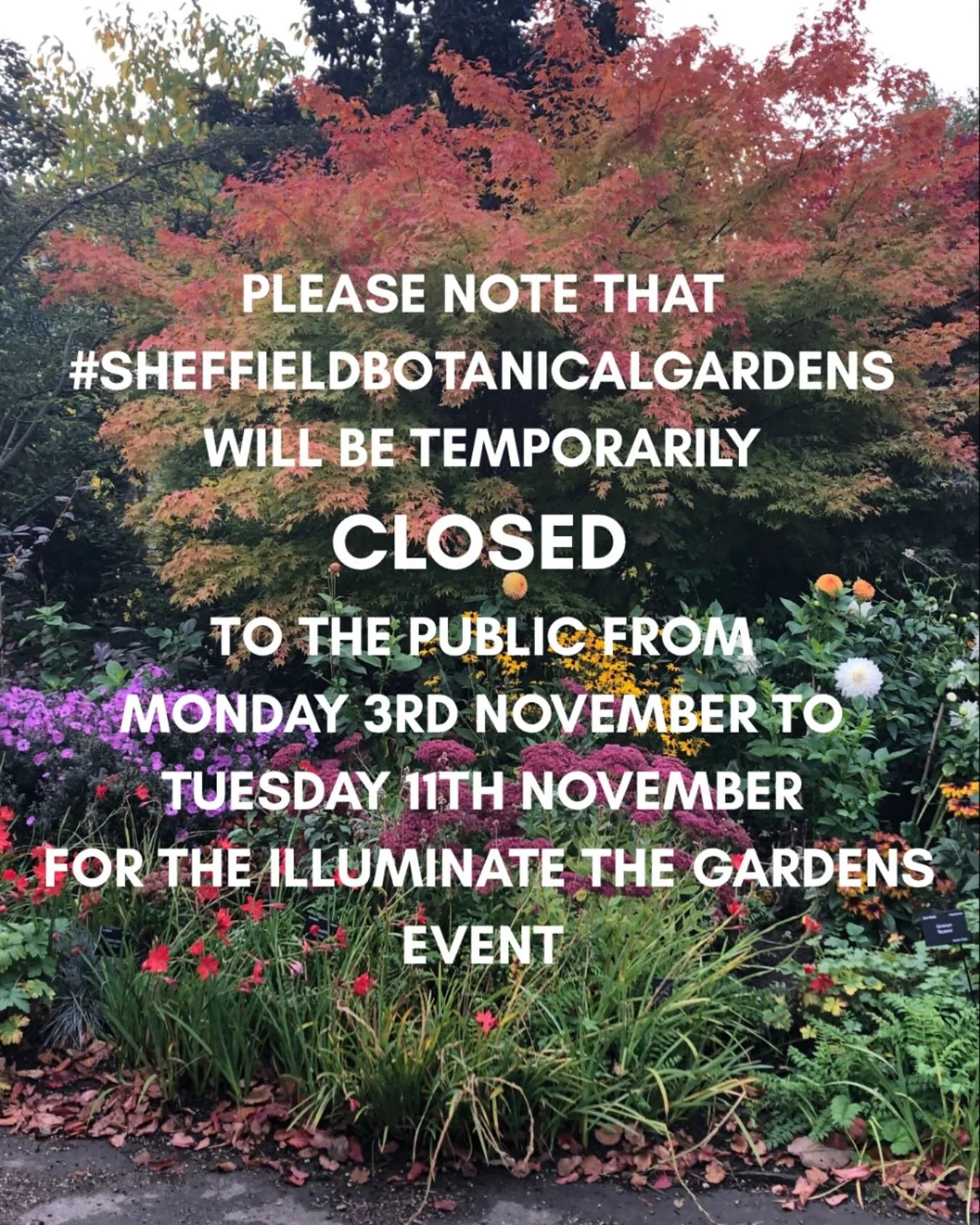 Our #sheffieldbotanicalgardens will be CLOSED from Monday 3 - Tuesday 11 November for the staging of Illuminate the Gardens which takes place from Friday 7 - Sunday 9 November.

After 8 years, this is the grand finale as @illuminate.the.gardens takes