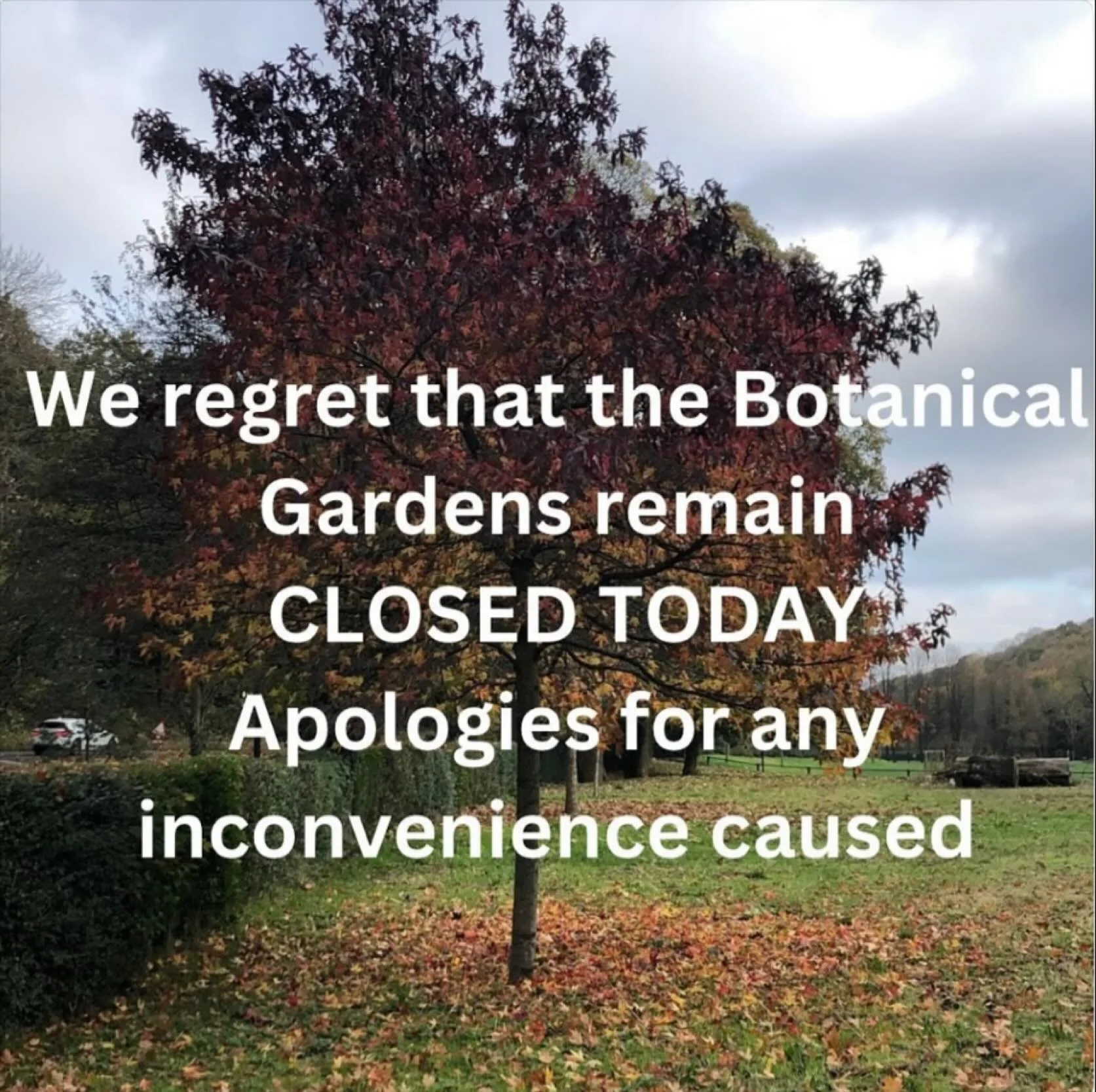 Please note that the clear up from Illuminate the Gardens continues today (Wednesday) and that #sheffieldbotanicalgardens remain CLOSED

We anticipate that we will be open as normal tomorrow but please check back for updates.

We apologise for any in
