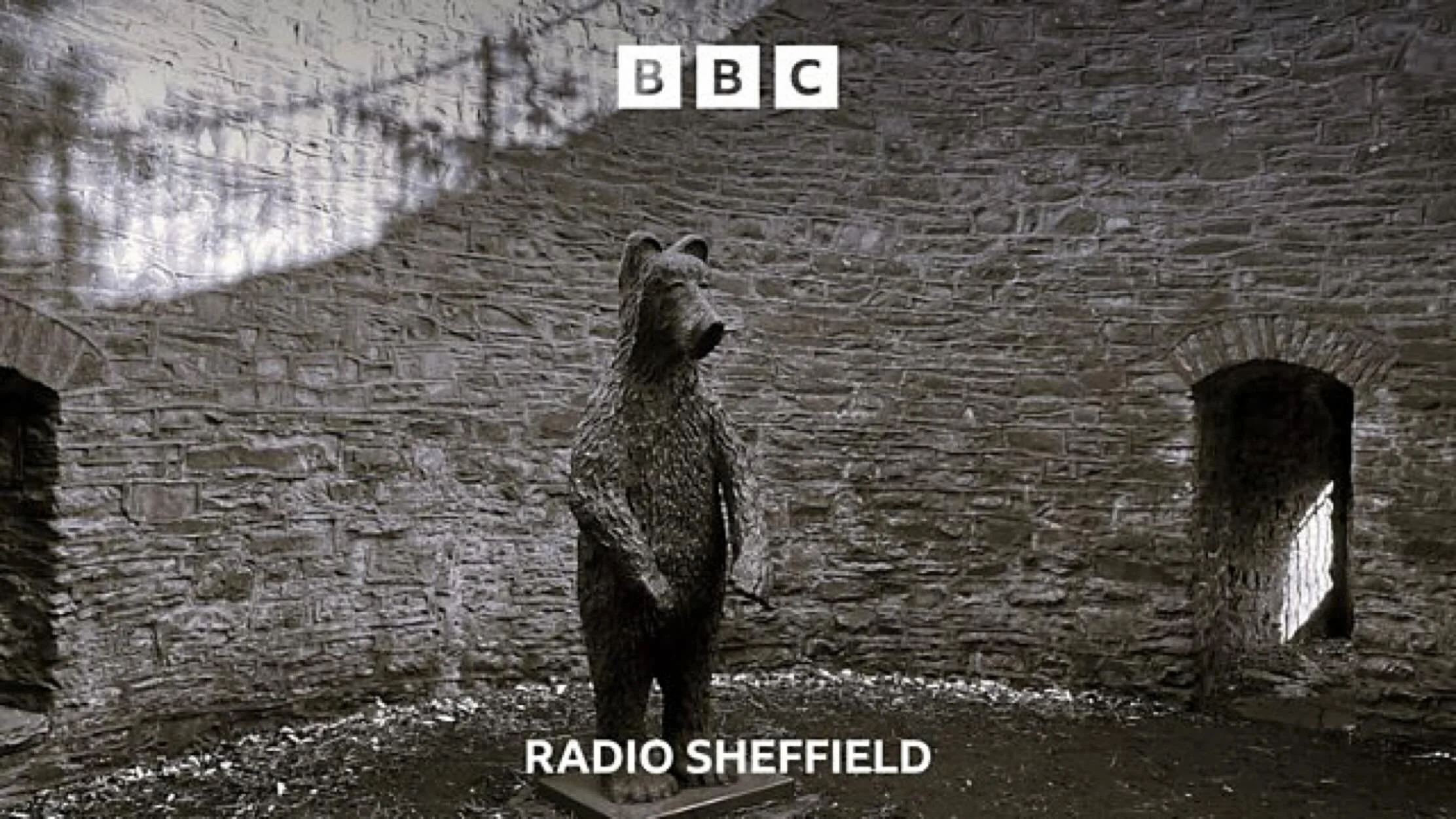 Most visitors to #sheffieldbotanicalgardens will have visited our bear in our bear pit and wondered about the story behind it&hellip;&hellip;

Recently BBC Radio Sheffield got in touch to find out the answer and our @fobsheffield Gardens Historian, A