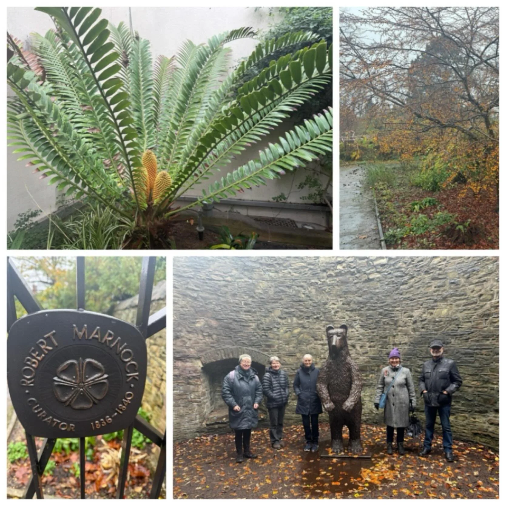 The wet weather did not dampen the enthusiasm of this group of Sheffield University alumni as they undertook their recent Private Tour of our #sheffieldbotanicalgardens 

Their tour covered the history of the Gardens and included a visit to the Marno
