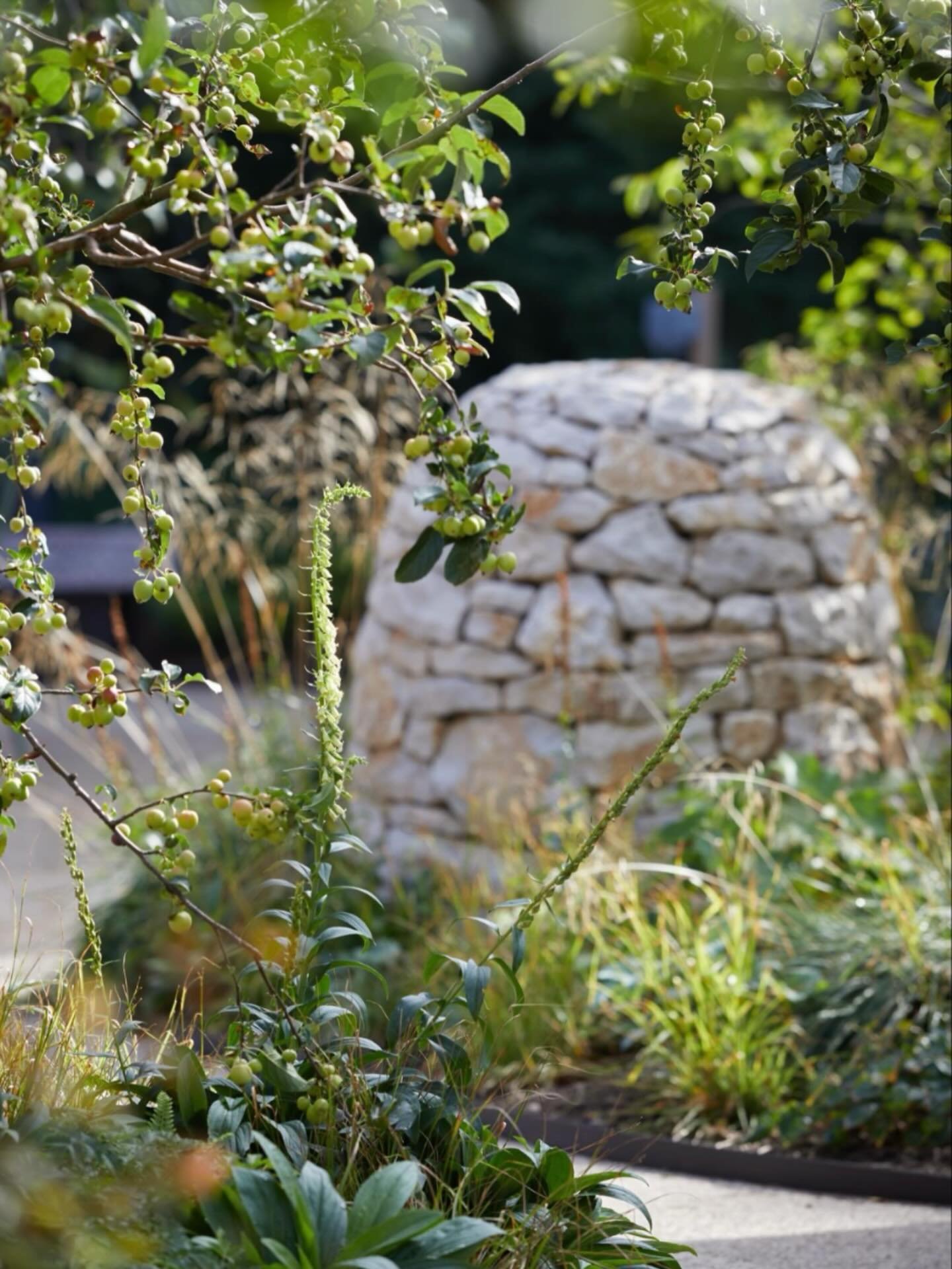 If you attended our @fobsheffield talk in April by Ruth Calder, Head Gardener at the new @horatiosgarden in Sheffield, you will recognise this cairn as one of the key features in the garden which opened this year.

Designed by @harrisbuggstudio and a