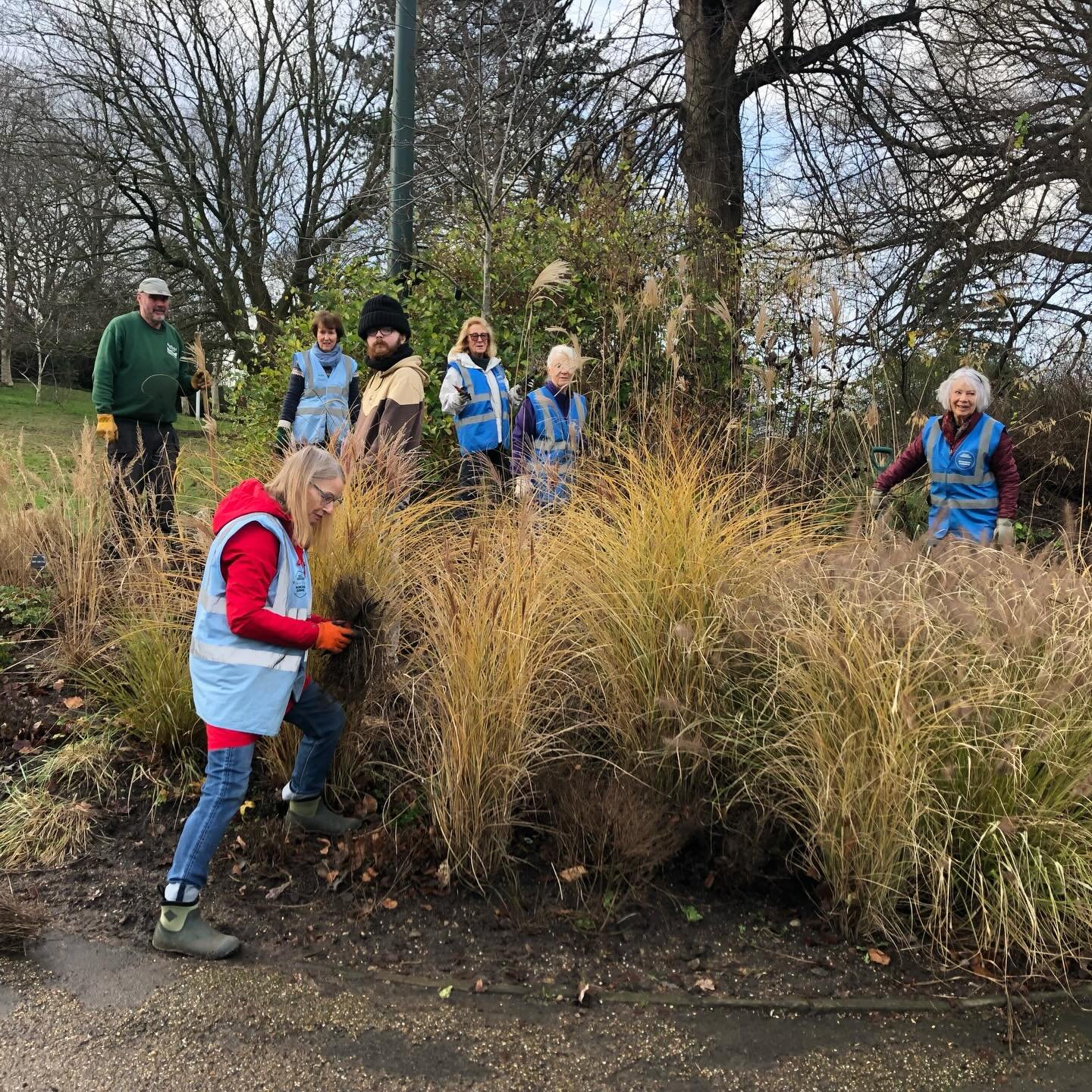 It may be winter and time for holidays but the hard work continues to keep #sheffieldbotanicalgardens looking good for us all to enjoy:

 A group of volunteers work alongside gardener Paul in part of the Four Seasons Gardens; Trish Kohn takes a very 