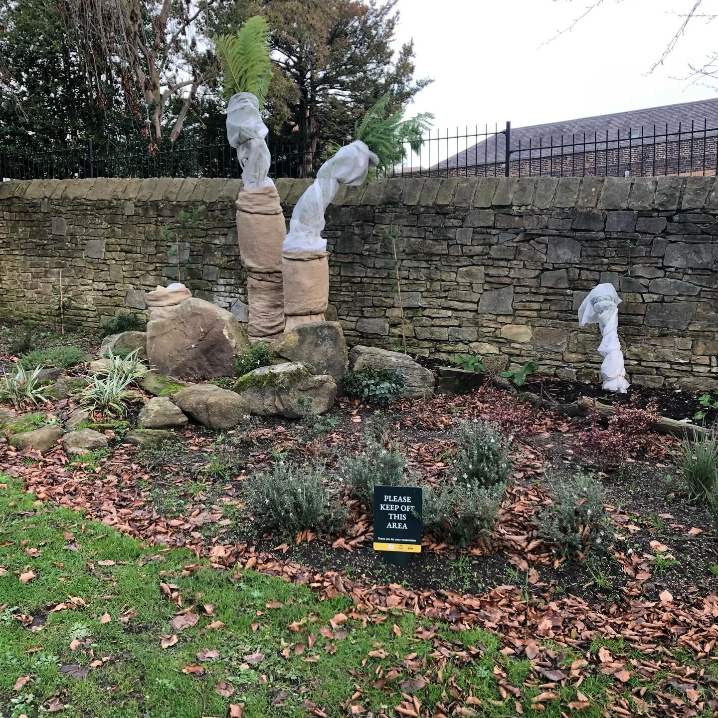 It&rsquo;s not just us humans who need to wrap up in winter&hellip;&hellip;

If you have visited #sheffieldbotanicalgardens recently you may have noticed a new bed at the top of Osborn&rsquo;s Field, just above the South African garden.  This is the 