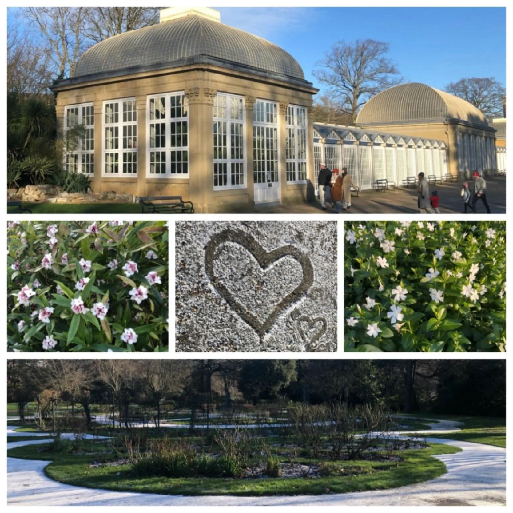 Our #sheffieldbotanicalgardens positively sparkling after a sprinkling of snow&hellip;&hellip;
.
.
.
.
.
#january #snowinthegarden #winterinthegarden #botanicalgardens #theoutdoorcity #ourfaveplaces