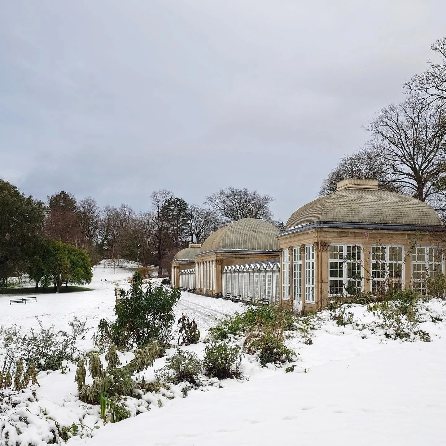 Our #sheffieldbotanicalgardens are transformed by snow - was this really only a week ago? 

The snow may be gone but the memory lingers on thanks to Natalia (@styledmoments25) - a Friend and a fabulous photographer who captured the Gardens looking ra