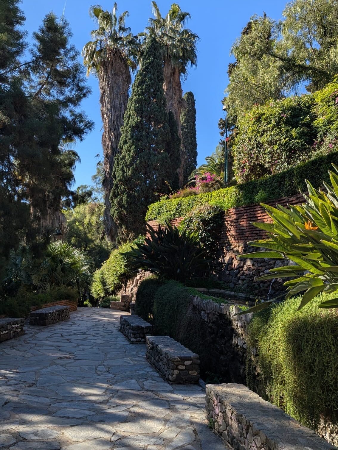 Whilst we&rsquo;ve been shivering in Sheffield, others have escaped to warmer climes&hellip;&hellip;

Thanks to our new @fobsheffield Talks Programme Organiser, Lynne Thomas for sharing these botanical images from sunny Malaga - not jealous at all 😬