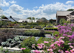 A Future for Horticulture....... Without Digital - John Foley