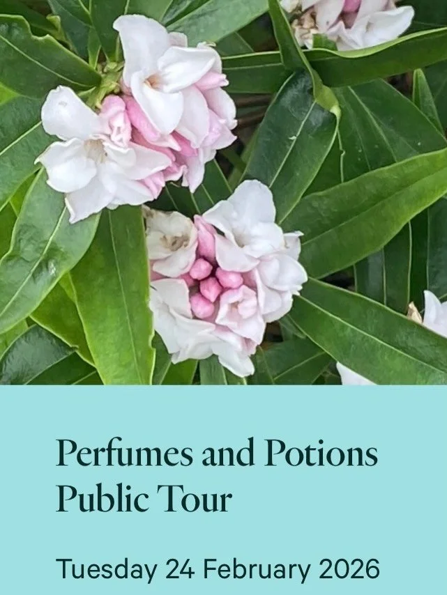 Lots of talks, tours and workshops coming up at #sheffieldbotanicalgardens&hellip;&hellip;

* Perfumes and Potions Public Tour - Tuesday 24 February at 1.00pm. *Please note that the @fobsheffield talk at 10.30am has been POSTPONED.
* Eid Ornament Pai