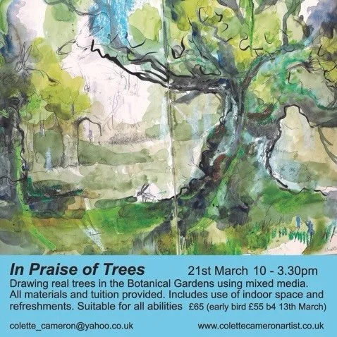 New sketching workshop &lsquo;In Praise of Trees&rsquo; coming up at #sheffieldbotanicalgardens&hellip;&hellip;..

Discover the joy of roaming the Botanical Gardens with sketchbook with a focus on the beautiful trees. Plenty of guidance with how to s