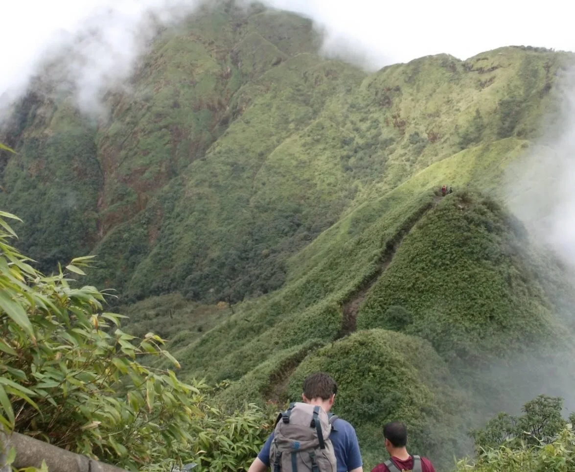 For our @fobsheffield talk on Monday evening we welcome Richard Baines, a highly successful Curator, Manager and Educator, who has been responsible for the curation and development of Scotland&rsquo;s Logan Botanic Garden and its major botanical coll