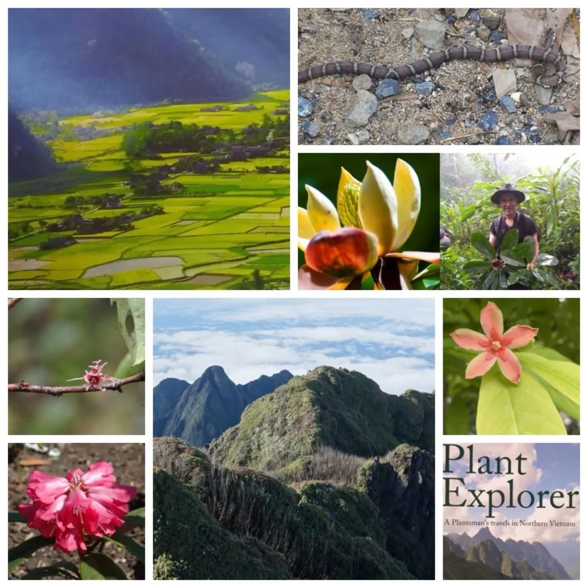 Showcasing some spectacular scenery and many exotic plants, on Monday evening we joined Curator of Logan Botanical Garden Richard Baines online for a virtual trip to North Vietnam.

Describing the region as a biodiversity hotspot, Richard detailed so