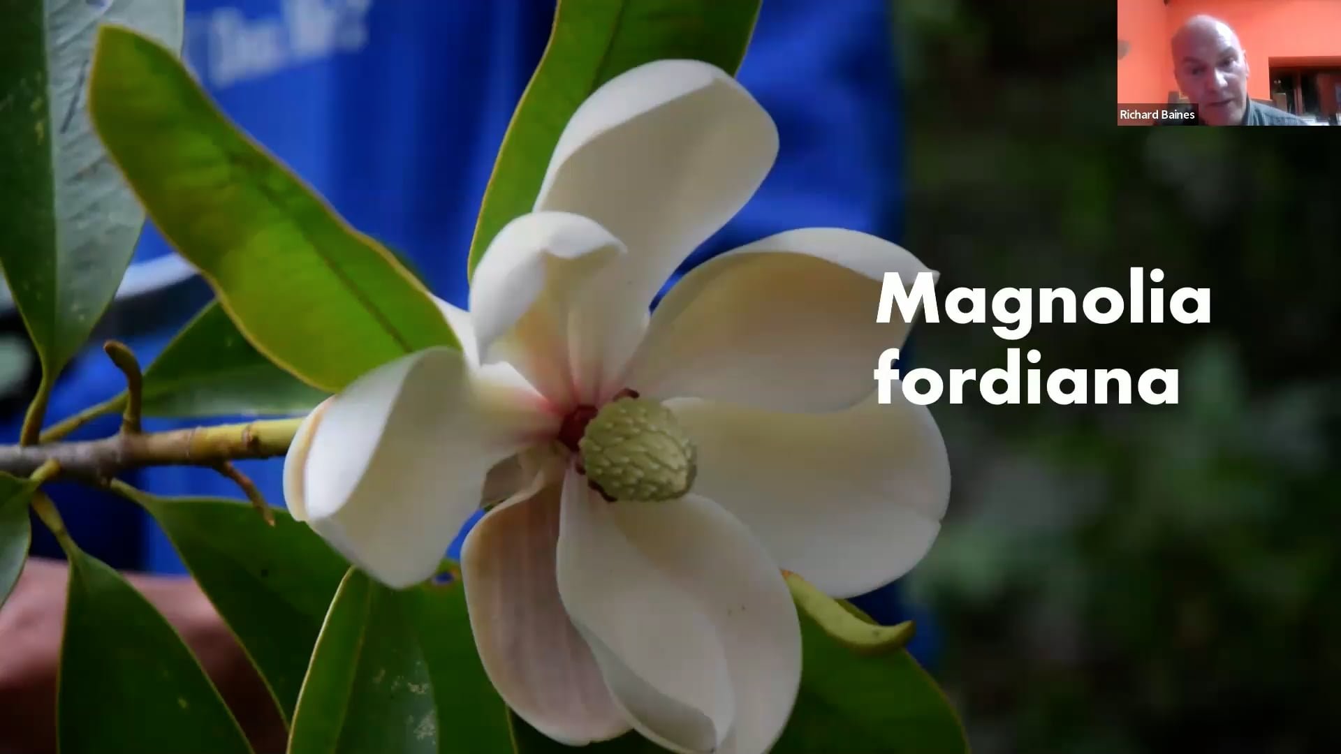 Richard Baines Recording available